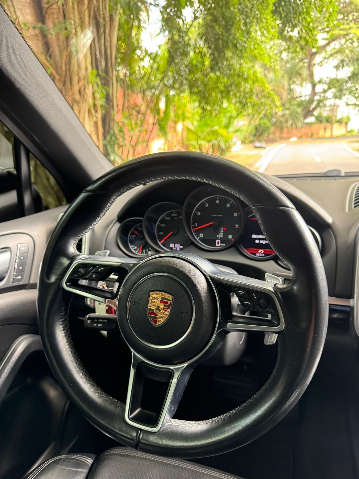 PORSCHE CAYENNE 2016 - Imagen 12