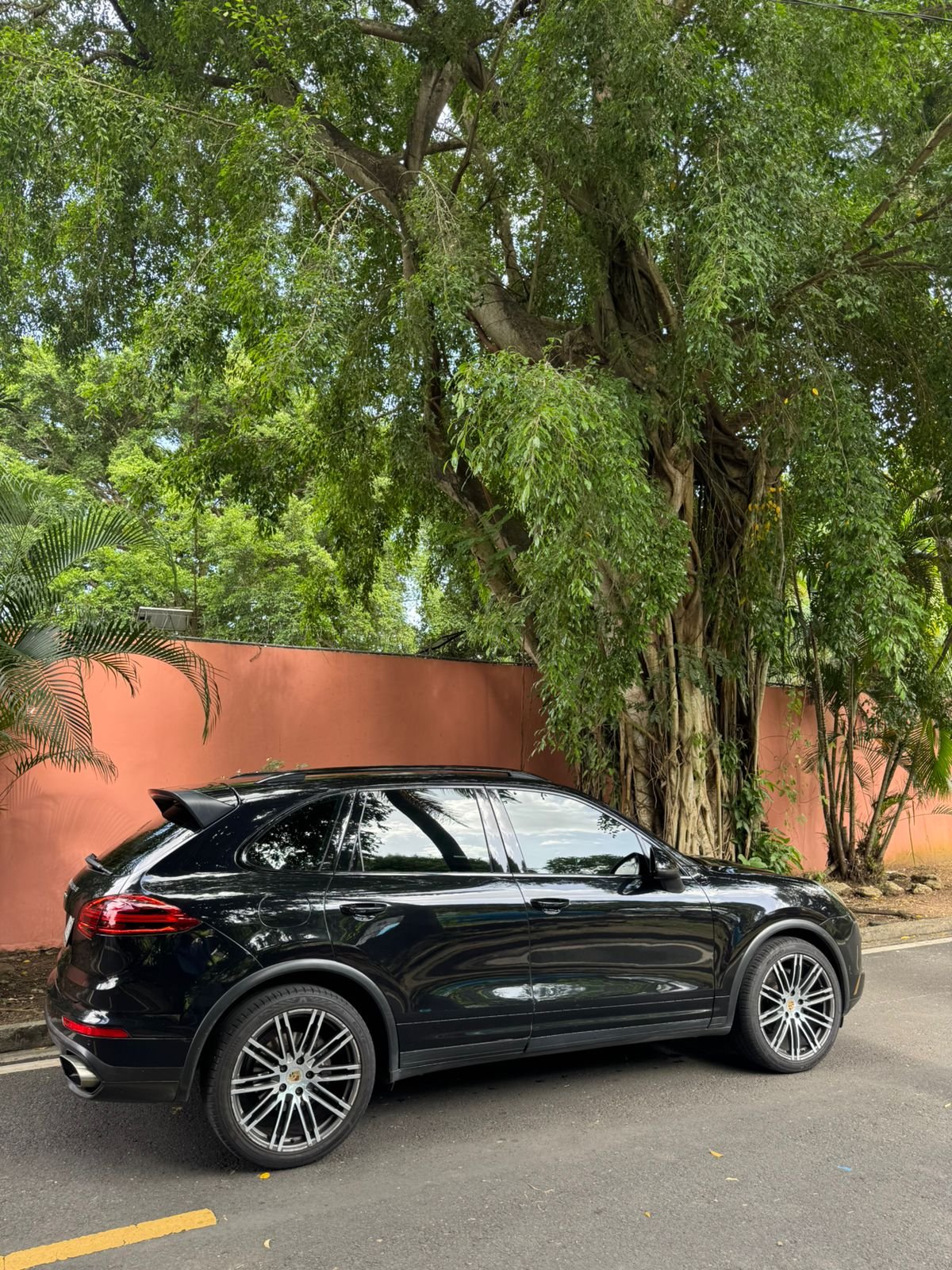 PORSCHE CAYENNE 2016 - Imagen 13