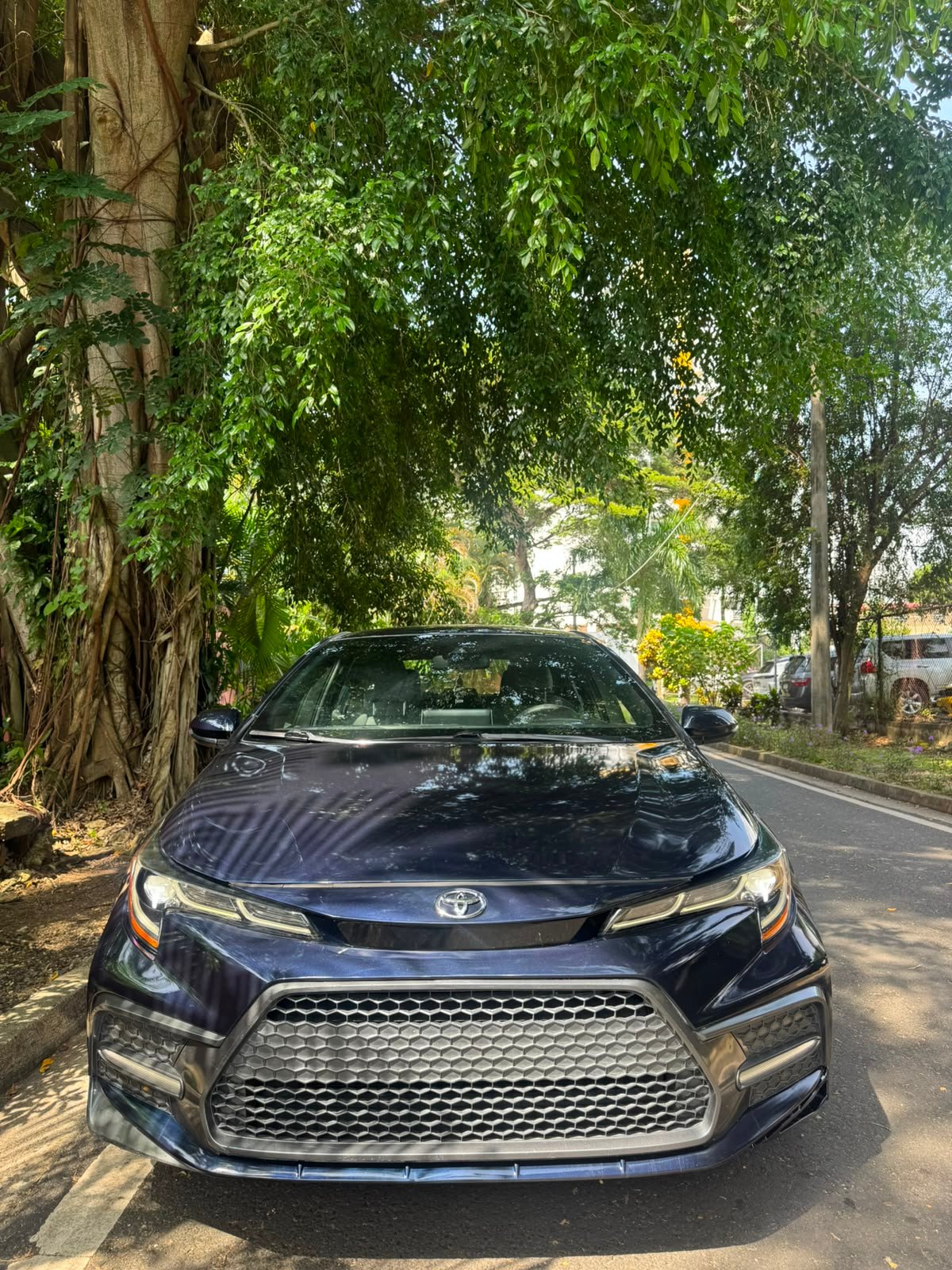 TOYOTA COROLLA SE 2020 - Imagen 2