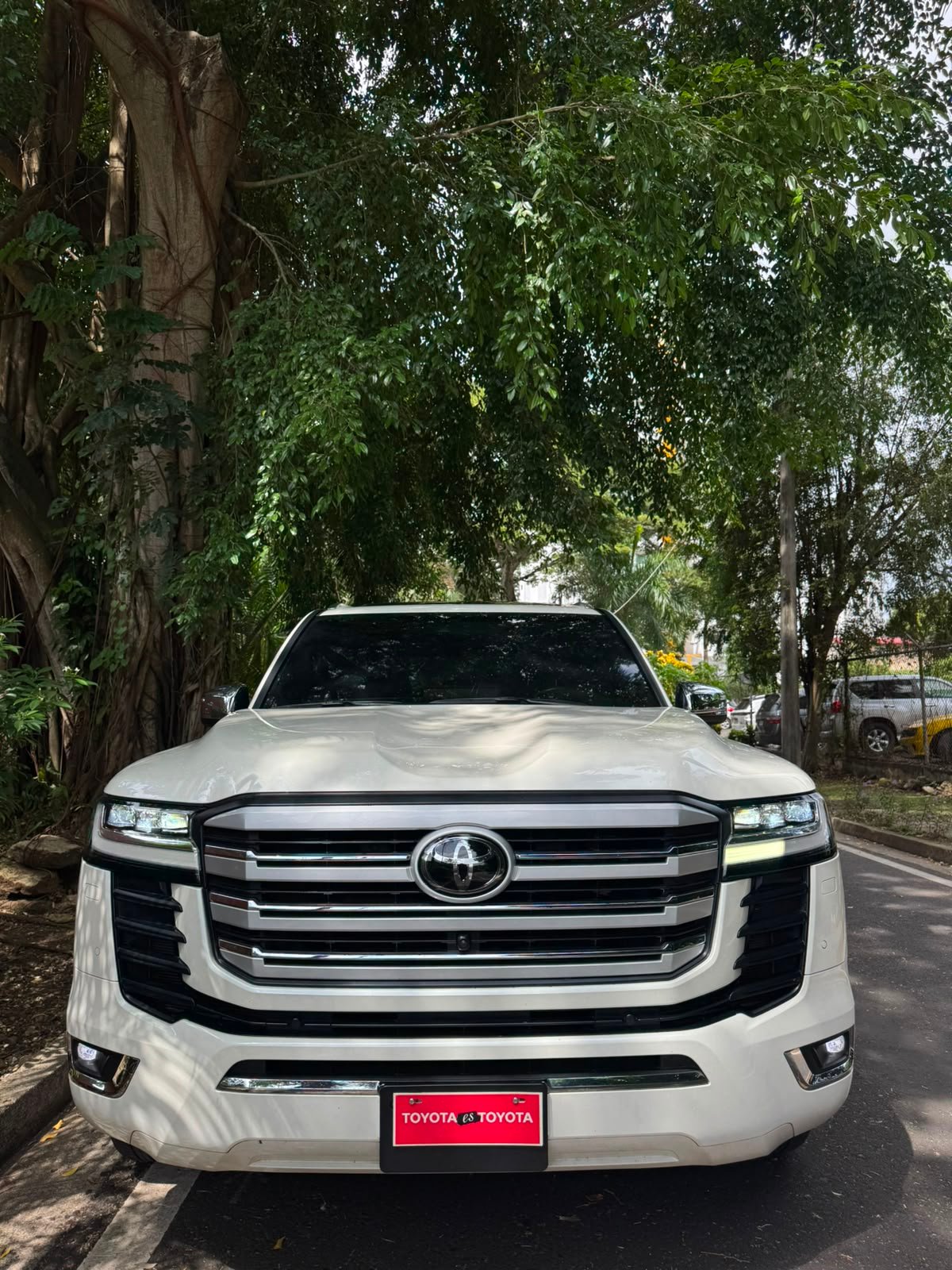 TOYOTA LANDCRUISER LC300 ZX 2025 - Imagen 2