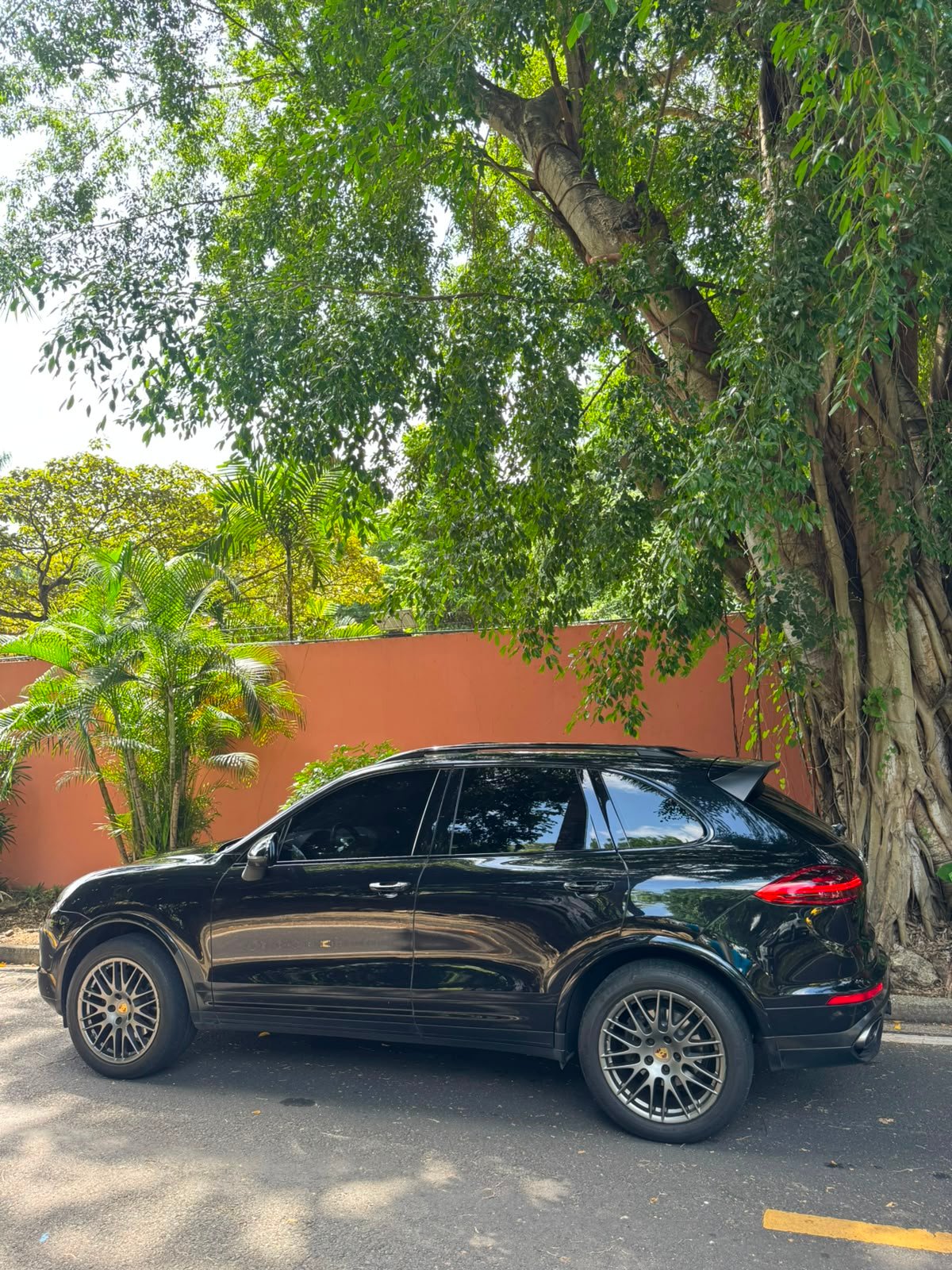 PORSCHE CAYENNE 2018 - Imagen 3