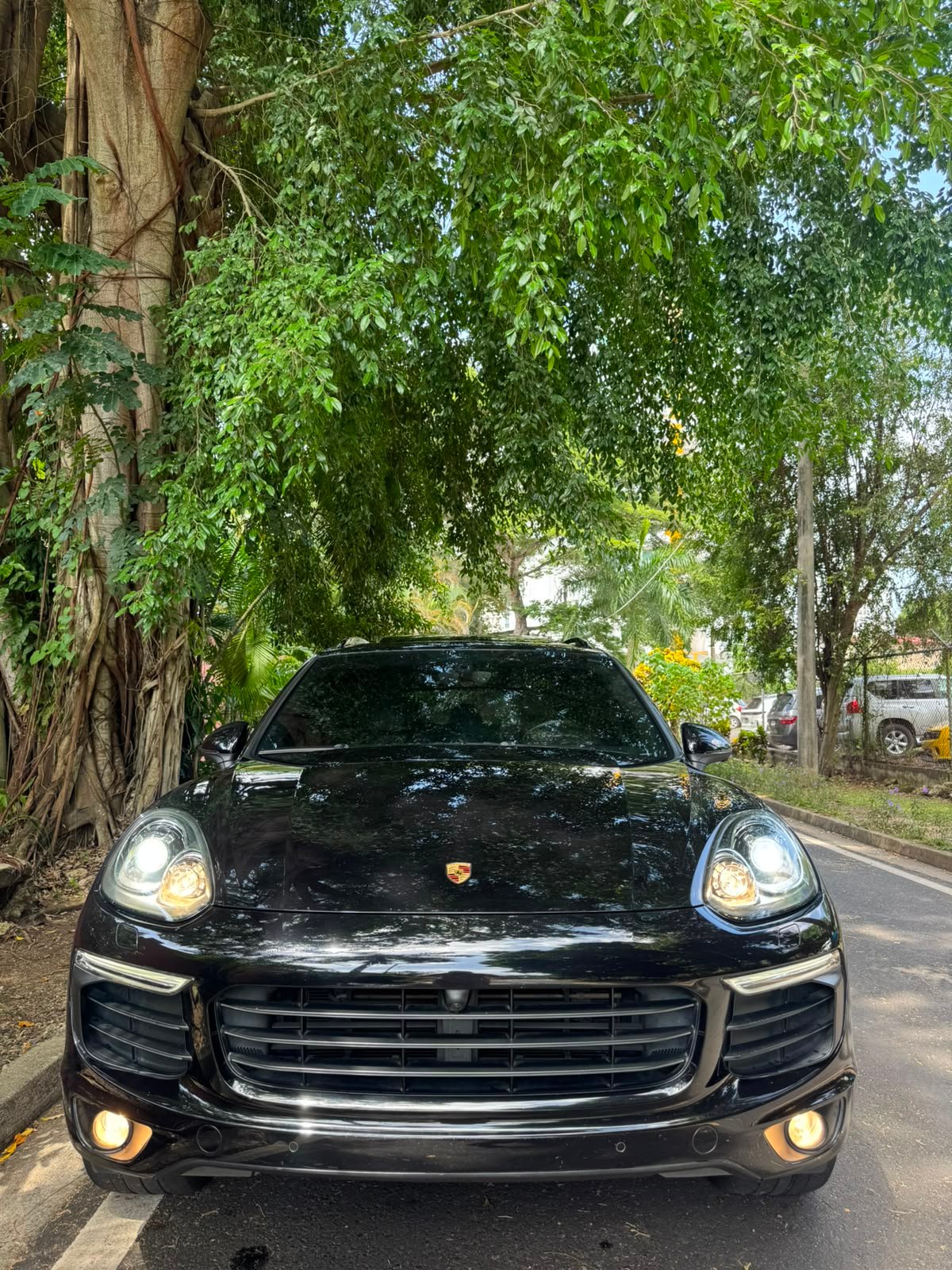 PORSCHE CAYENNE 2018 - Imagen 4