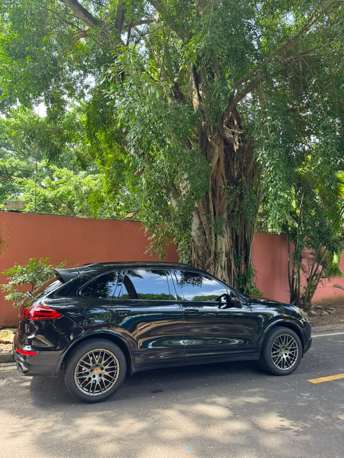 PORSCHE CAYENNE 2018 - Imagen 15