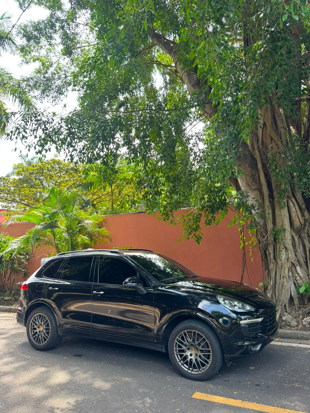 PORSCHE CAYENNE 2018 - Imagen 18