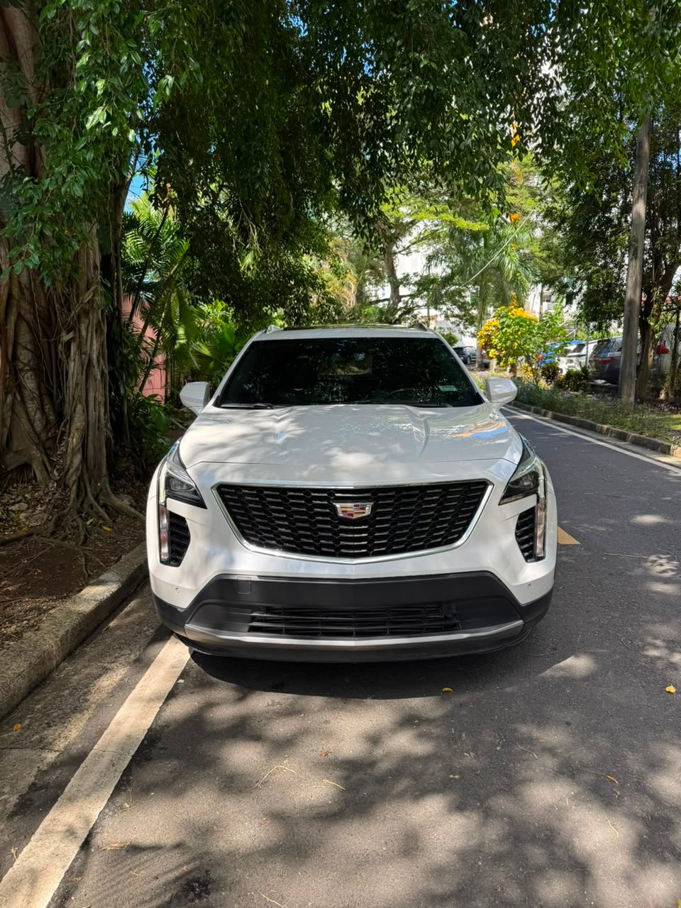 CADILLAC CT4 2019 - Imagen 2