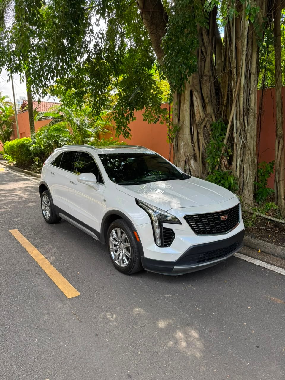 CADILLAC CT4 2019 - Imagen 15