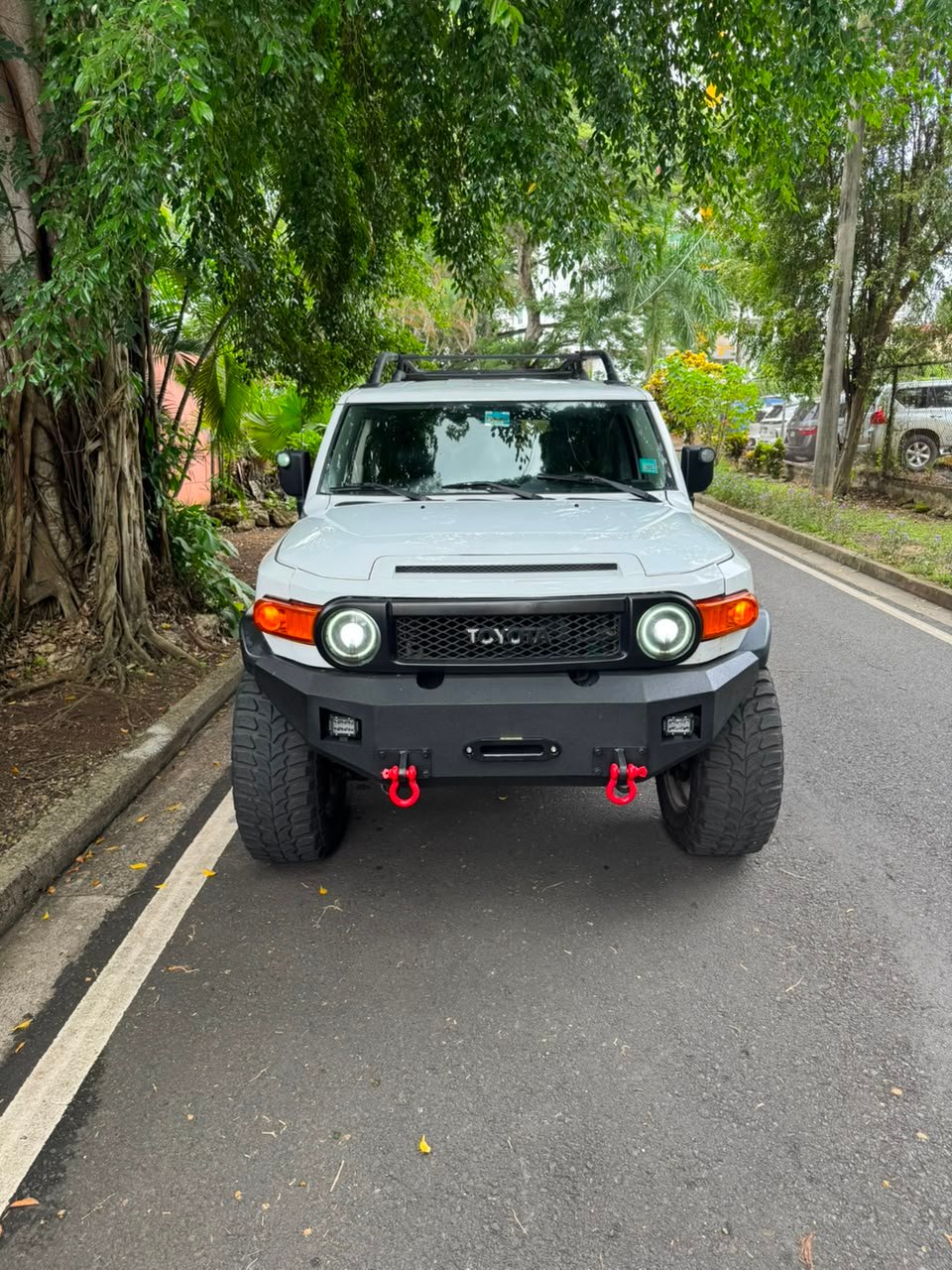 FJ CRUISER 2008 - Imagen 2