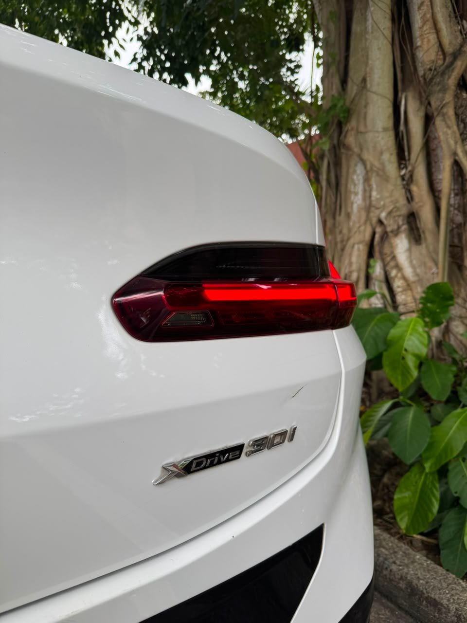 BMW X4 XDRIVE40I 2023 - Imagen 3