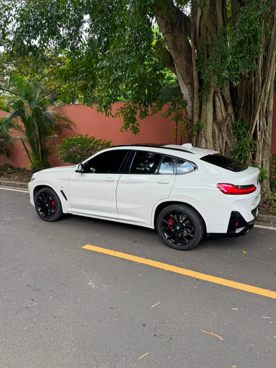 BMW X4 XDRIVE40I 2023 - Imagen 6