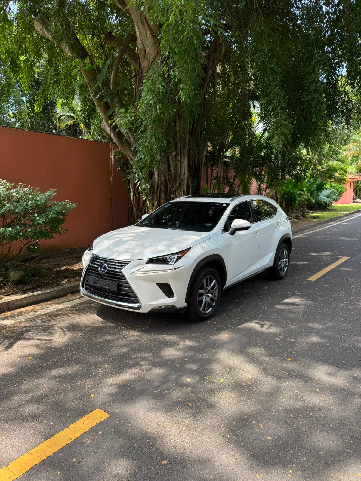 LEXUS NX300H 2019