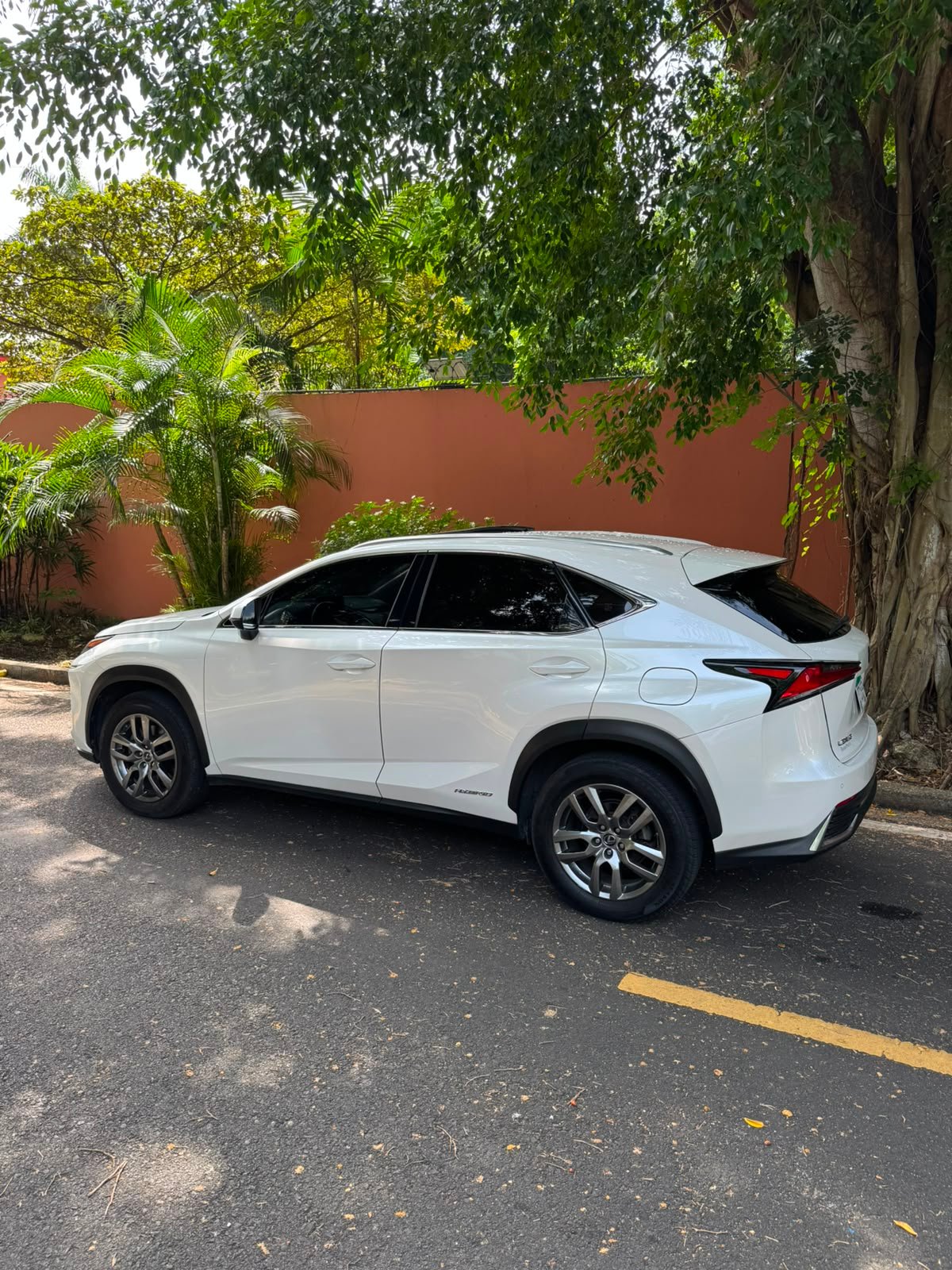 LEXUS NX300H 2019 - Imagen 2