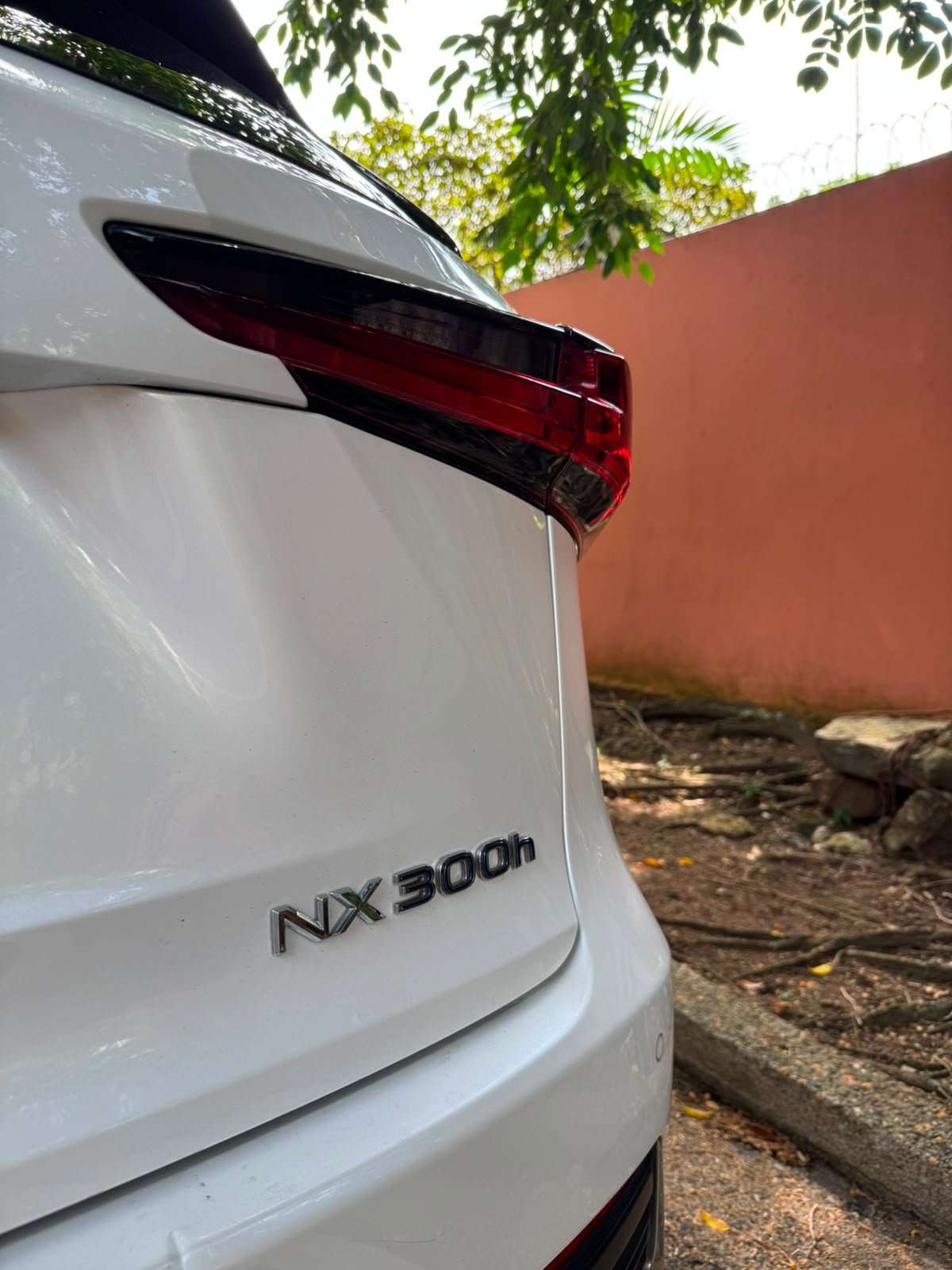 LEXUS NX300H 2019 - Imagen 3