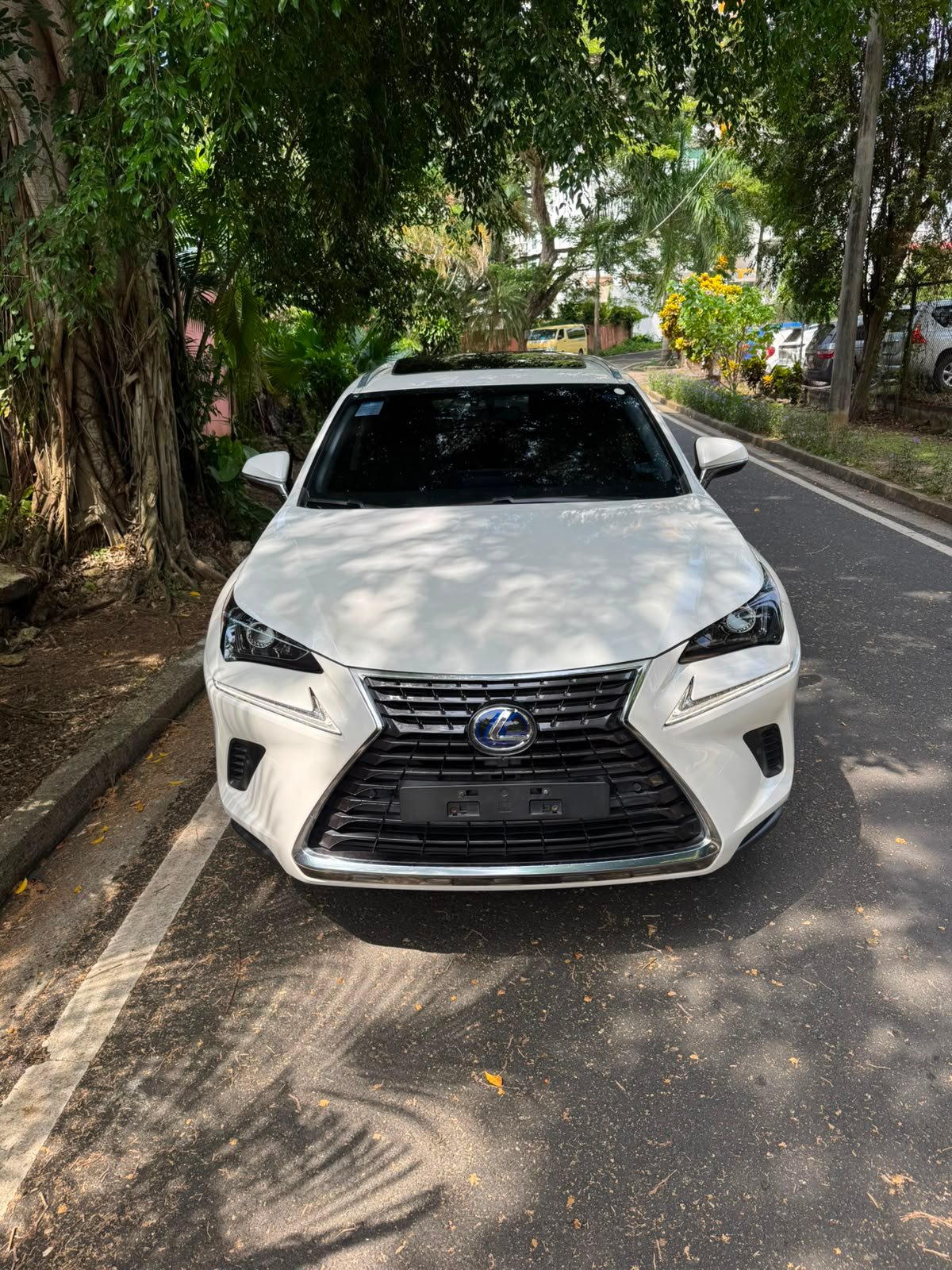 LEXUS NX300H 2019 - Imagen 8