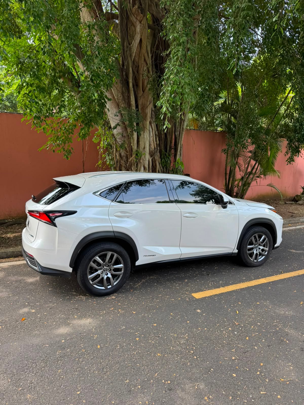 LEXUS NX300H 2019 - Imagen 12