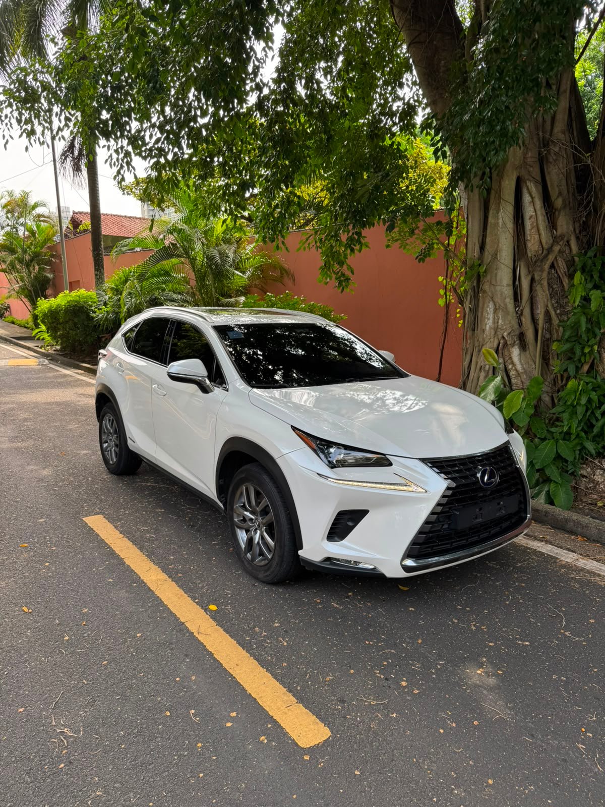 LEXUS NX300H 2019 - Imagen 13