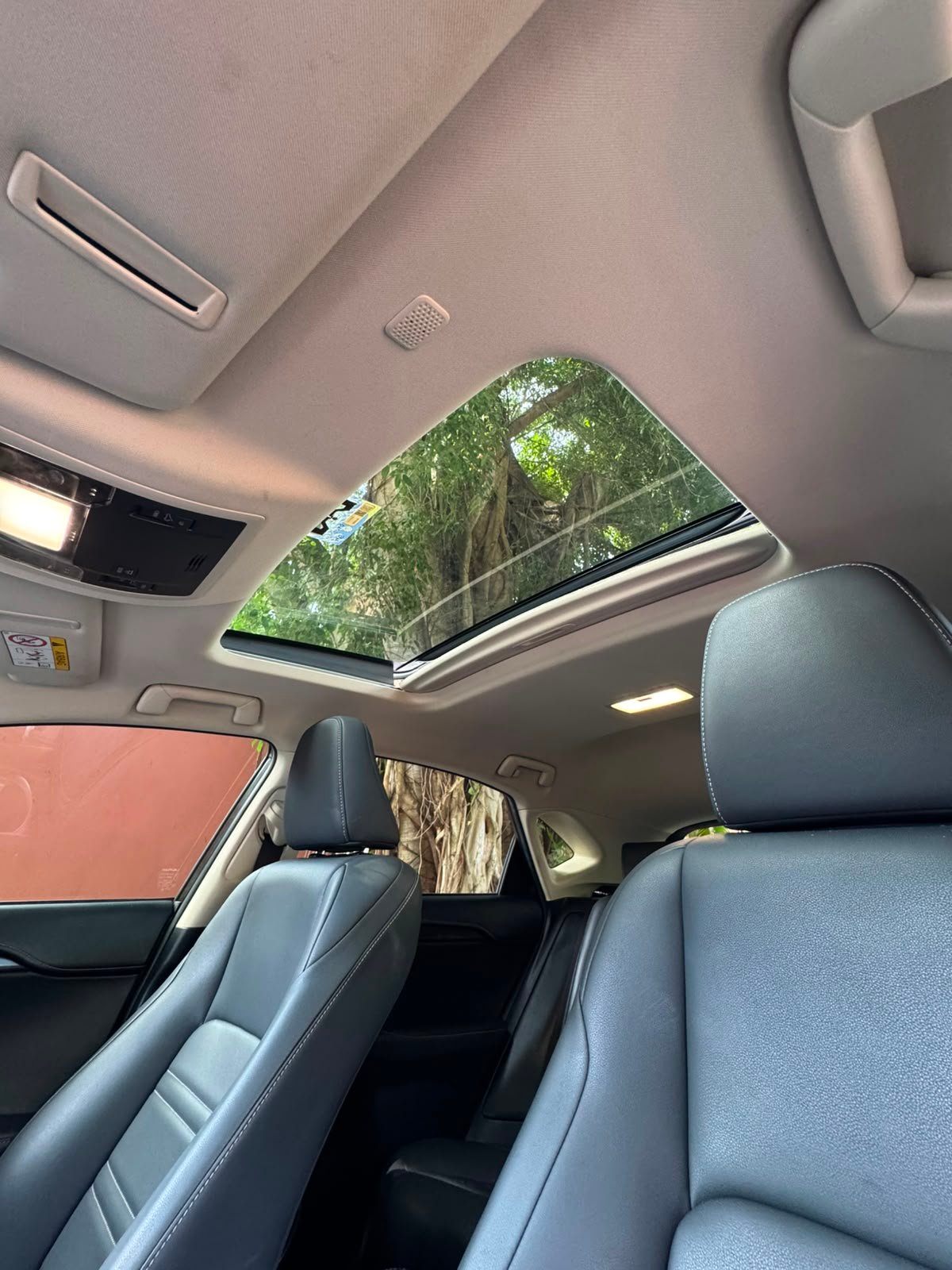 LEXUS NX300H 2019 - Imagen 14