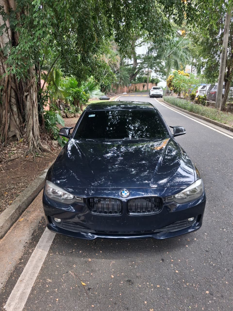 BMW 316I 2013 - Imagen 2