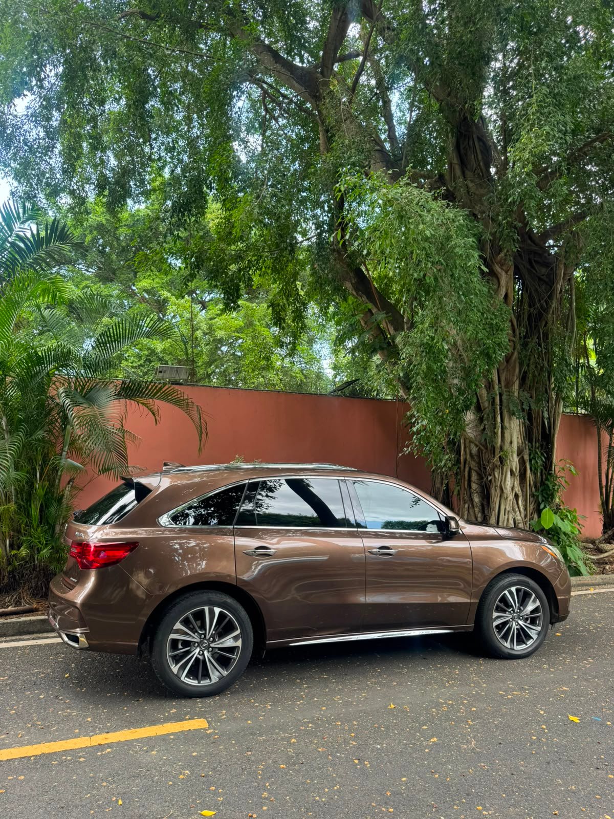 ACURA MDX 2019 - Imagen 14