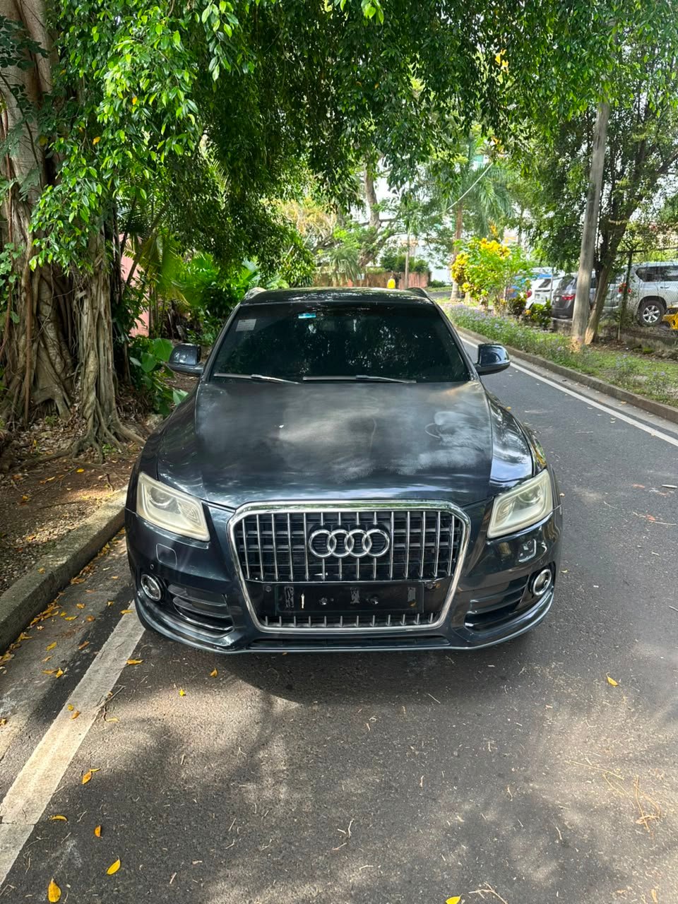 AUDI Q5 2013 - Imagen 2