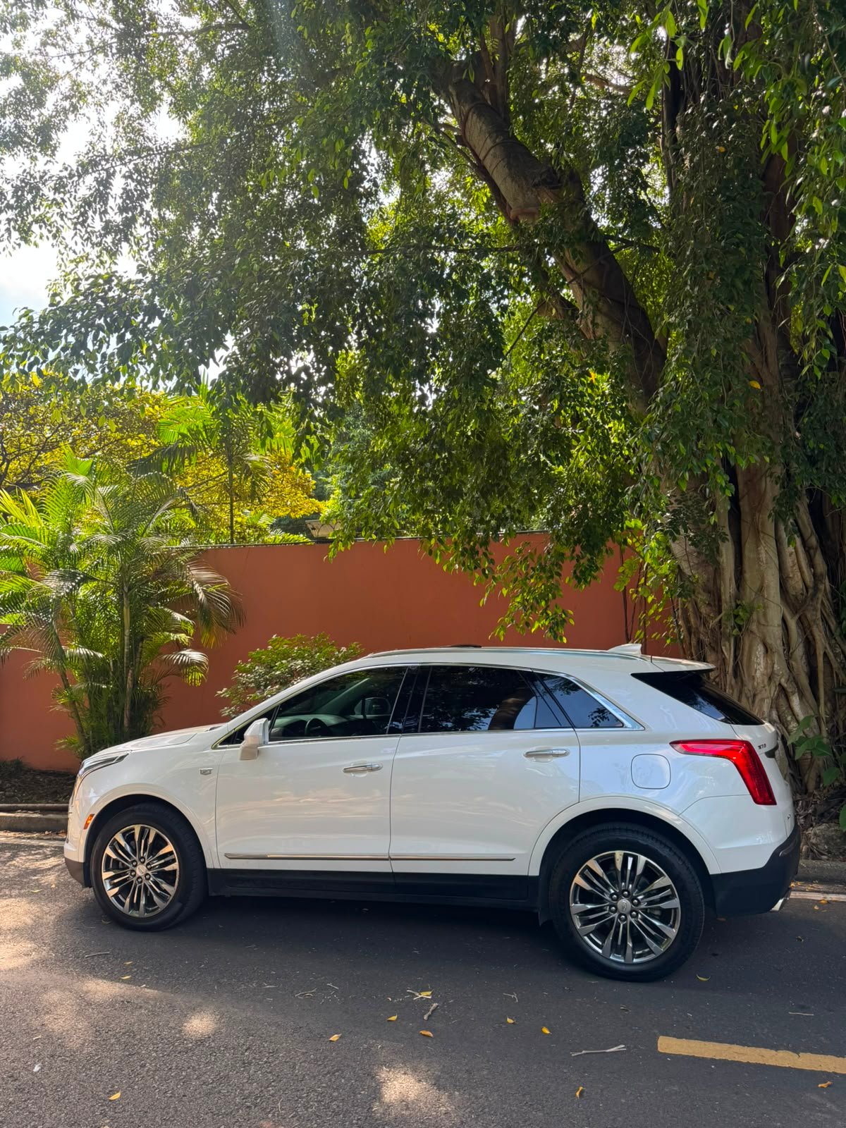 CADILLAC XT5 2019 - Imagen 2