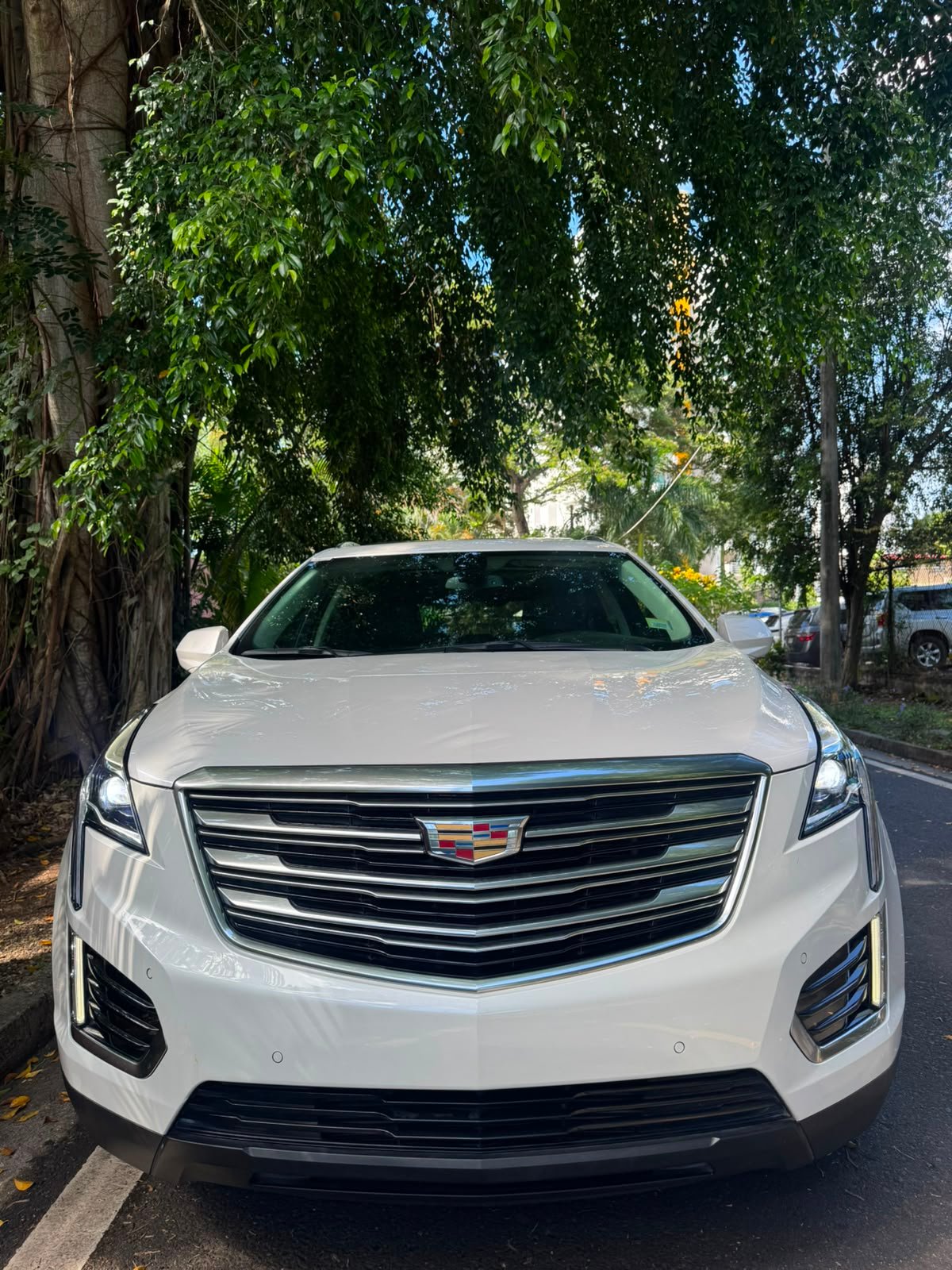 CADILLAC XT5 2019 - Imagen 3