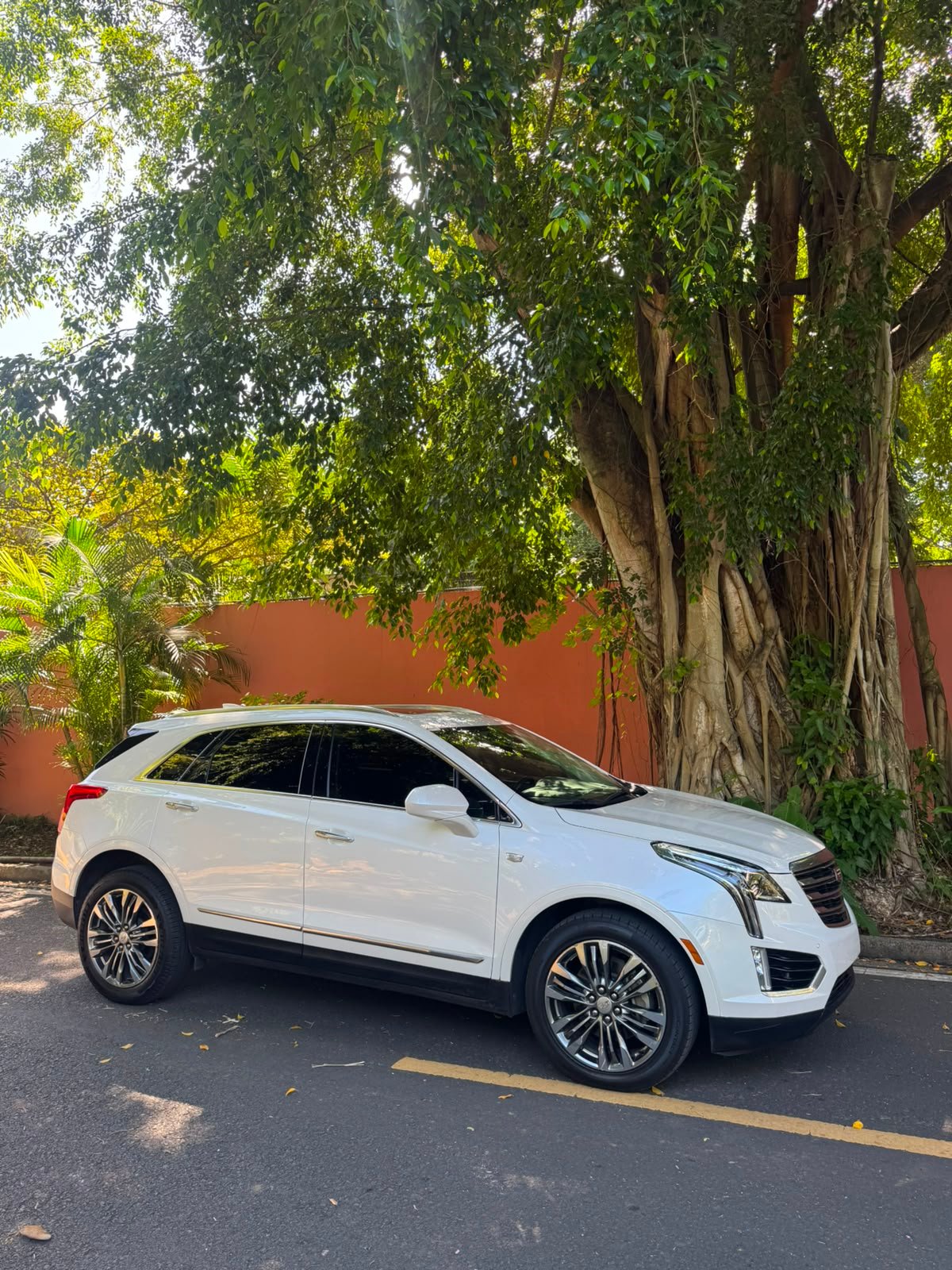CADILLAC XT5 2019 - Imagen 15