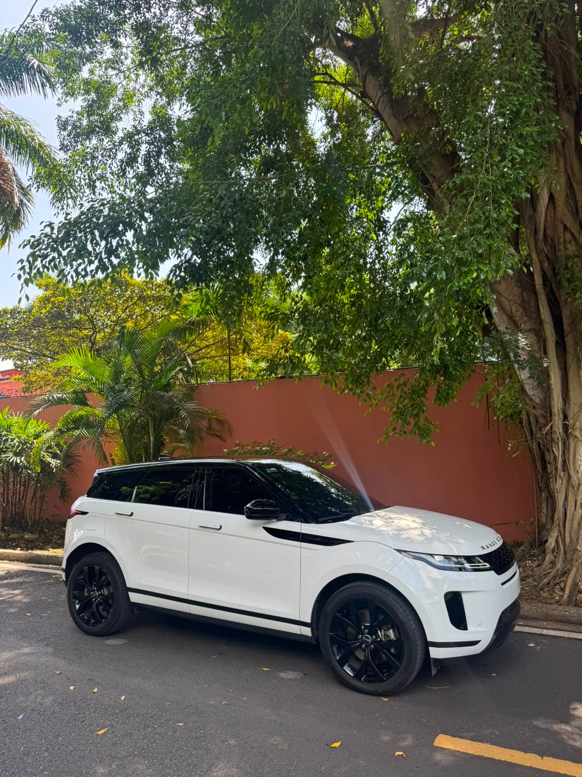 RANGE ROVER EVOQUE 2022 - Imagen 13