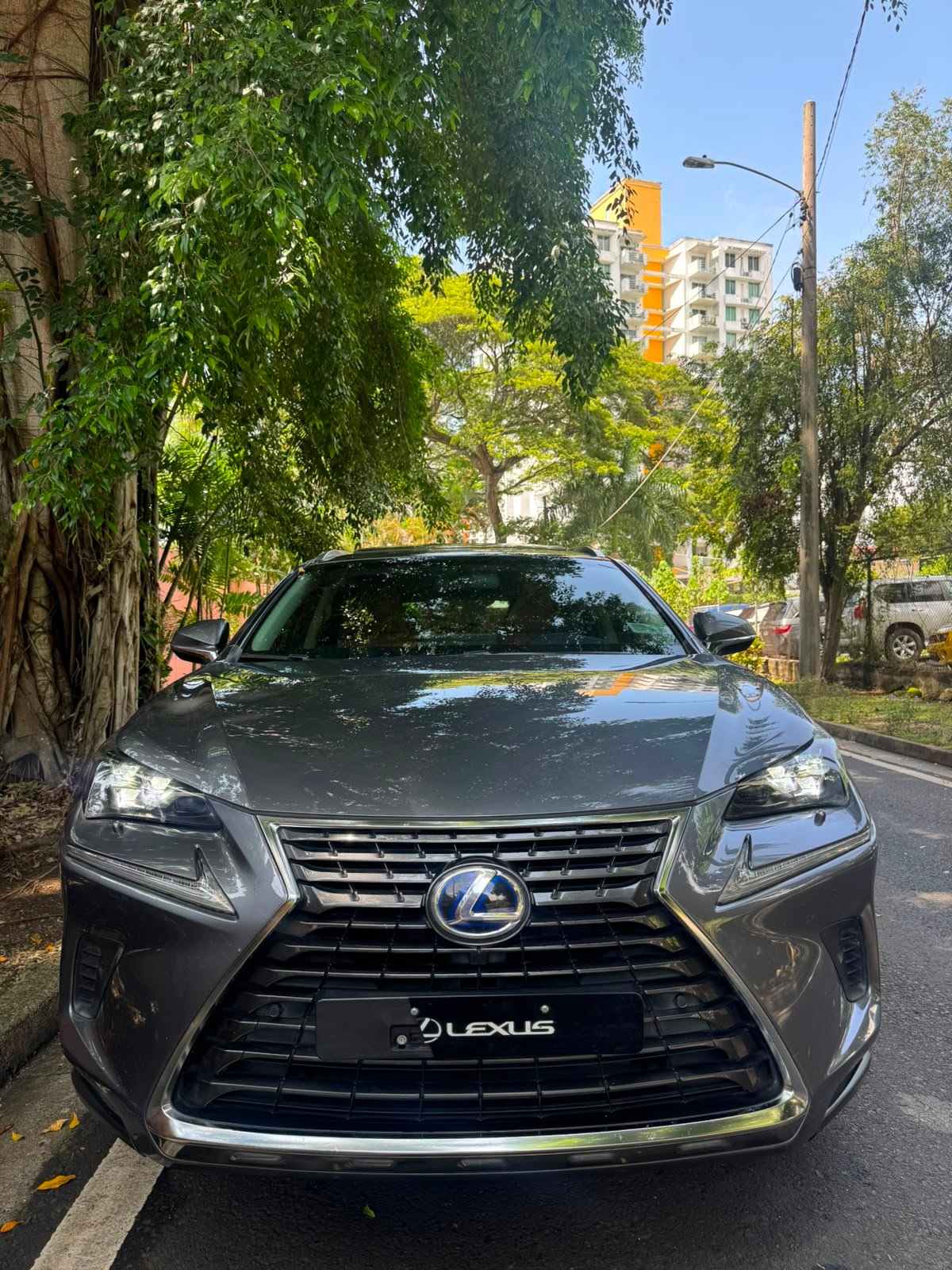 LEXUS NX300H 2018 - Imagen 3