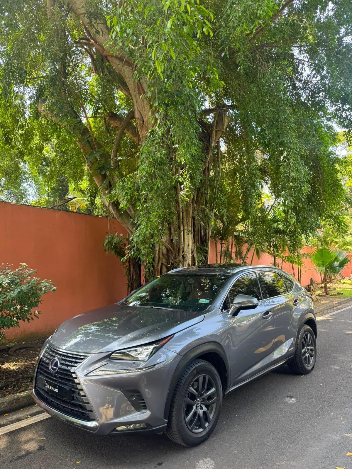LEXUS NX300H 2018