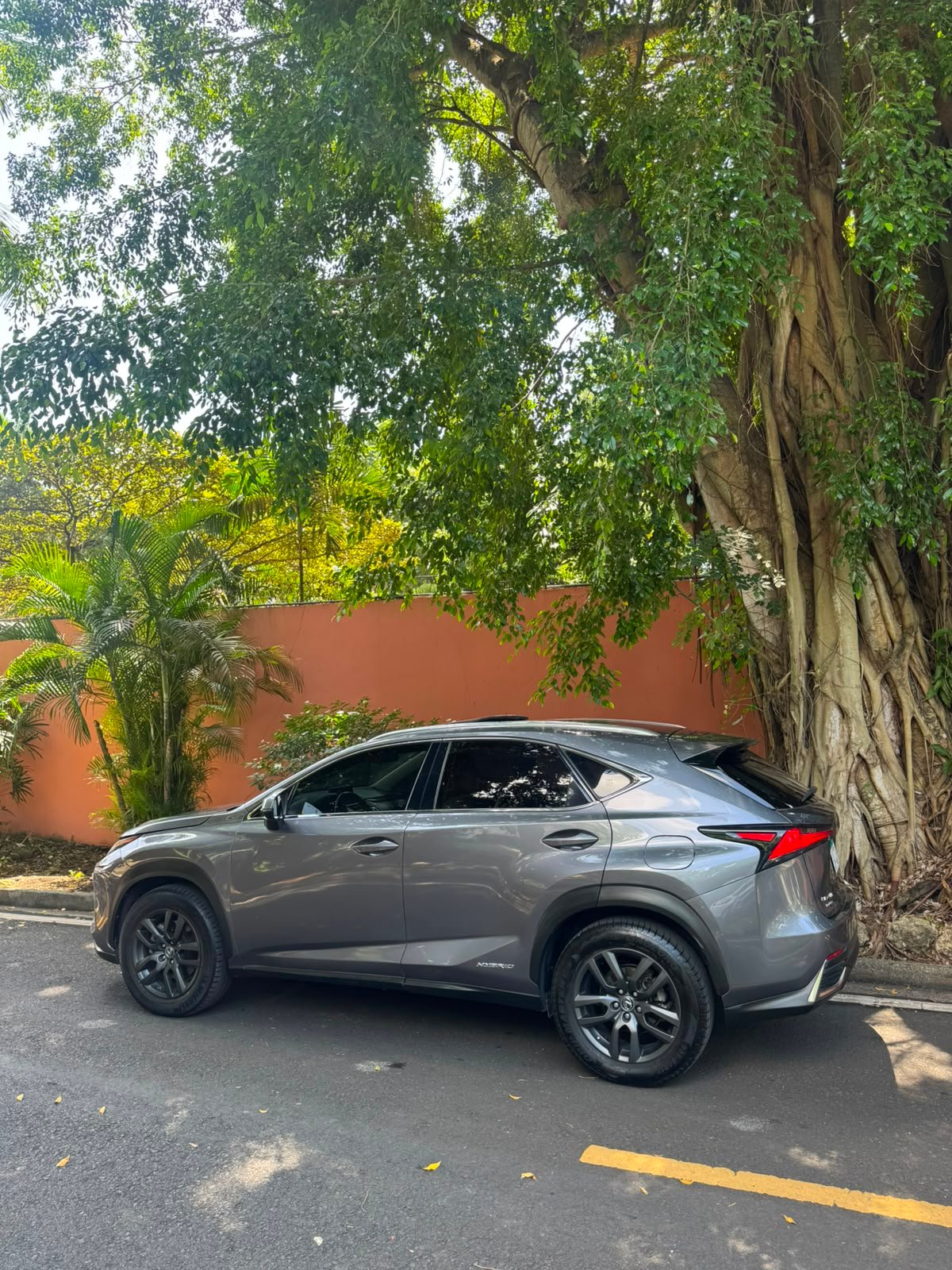 LEXUS NX300H 2018 - Imagen 5