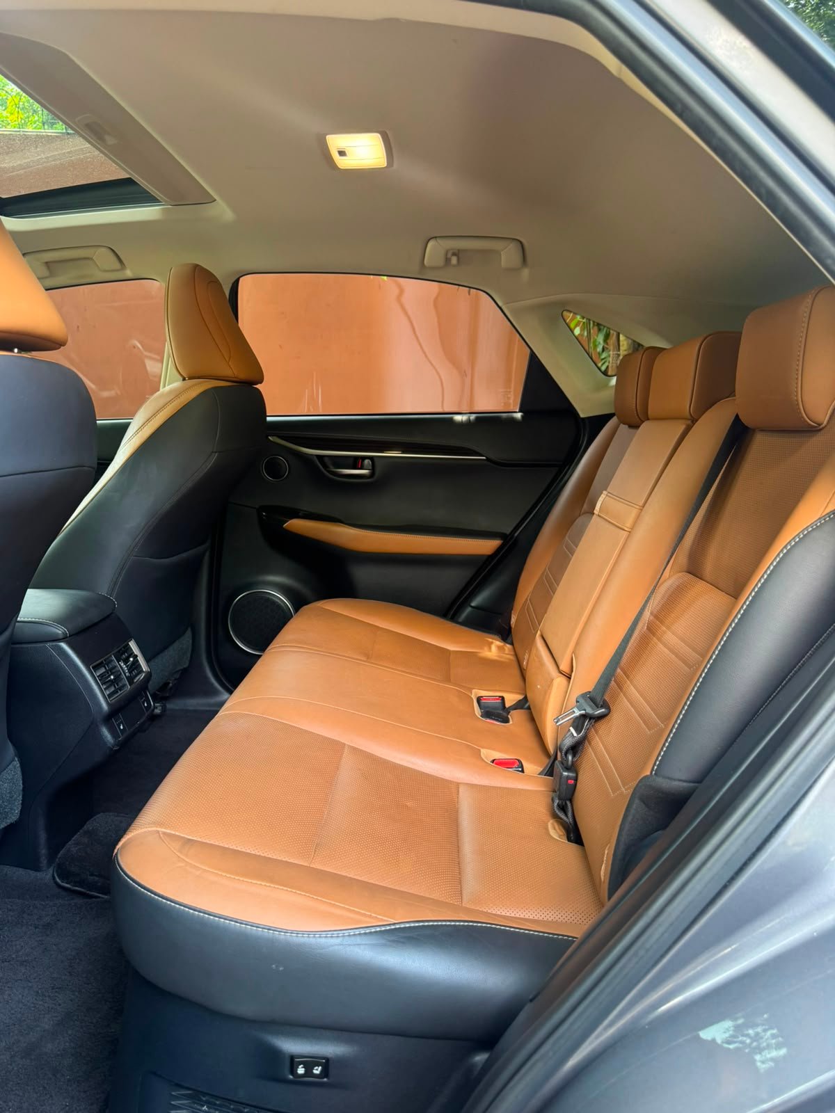 LEXUS NX300H 2018 - Imagen 7