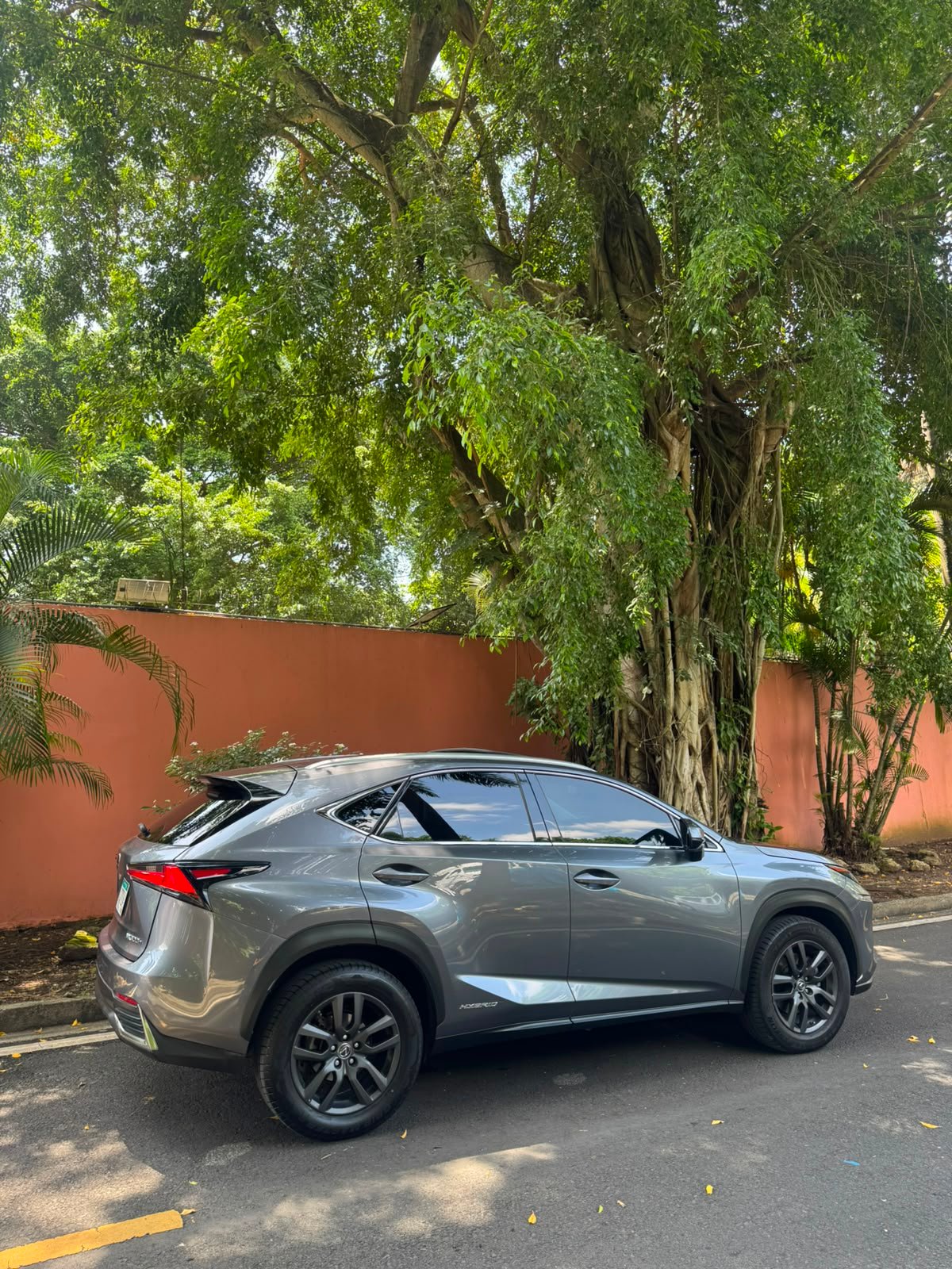 LEXUS NX300H 2018 - Imagen 12