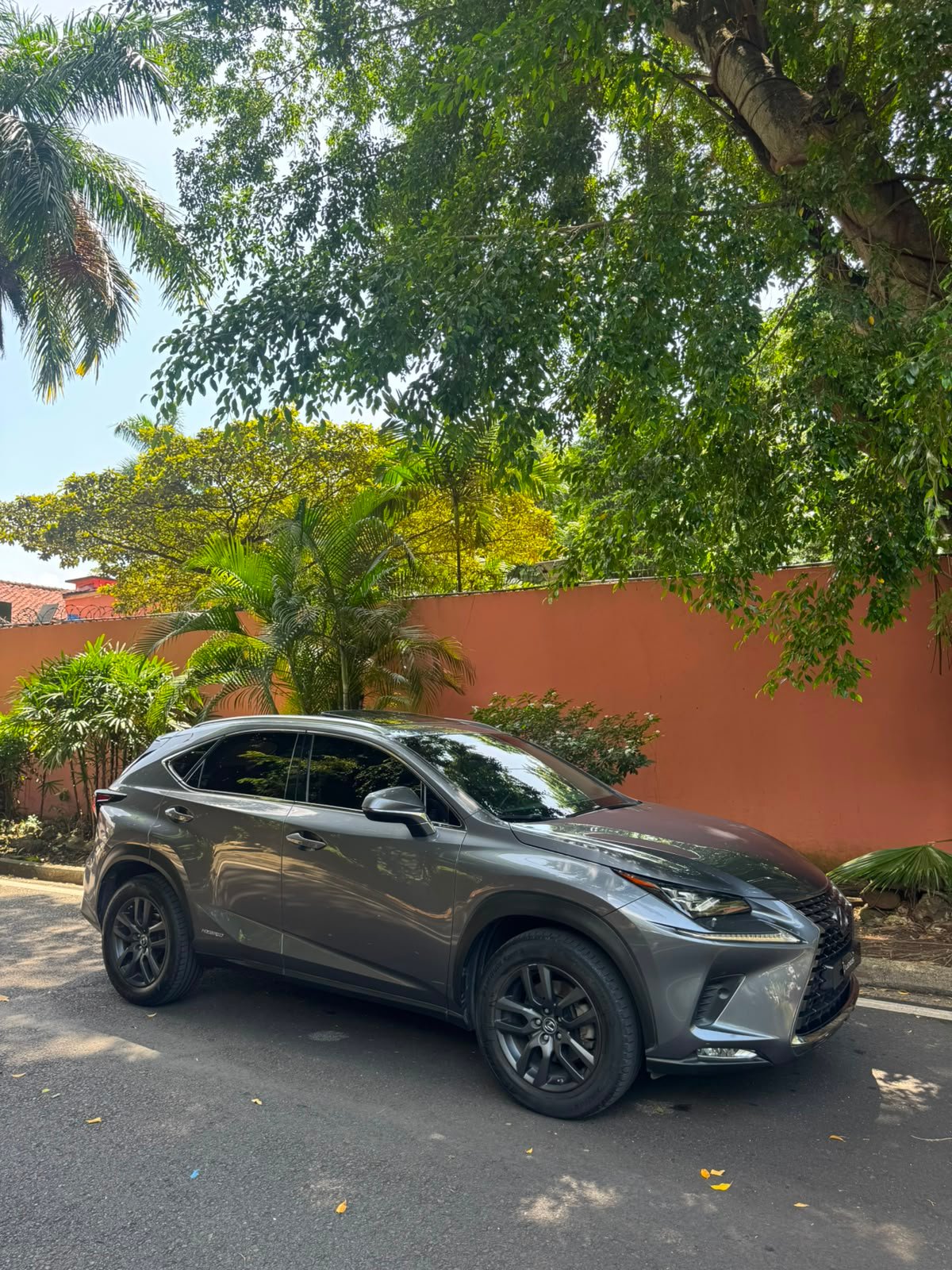 LEXUS NX300H 2018 - Imagen 13