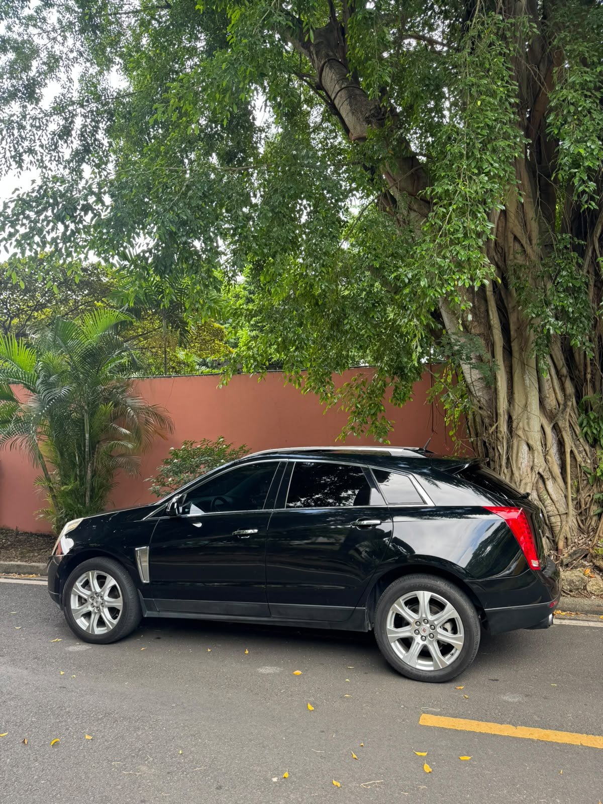 CADILLAC SRX 2015 - Imagen 2