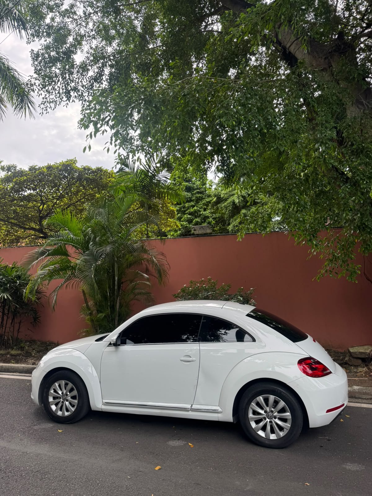 VOLSKWAGEN BEETLE 2016 - Imagen 2