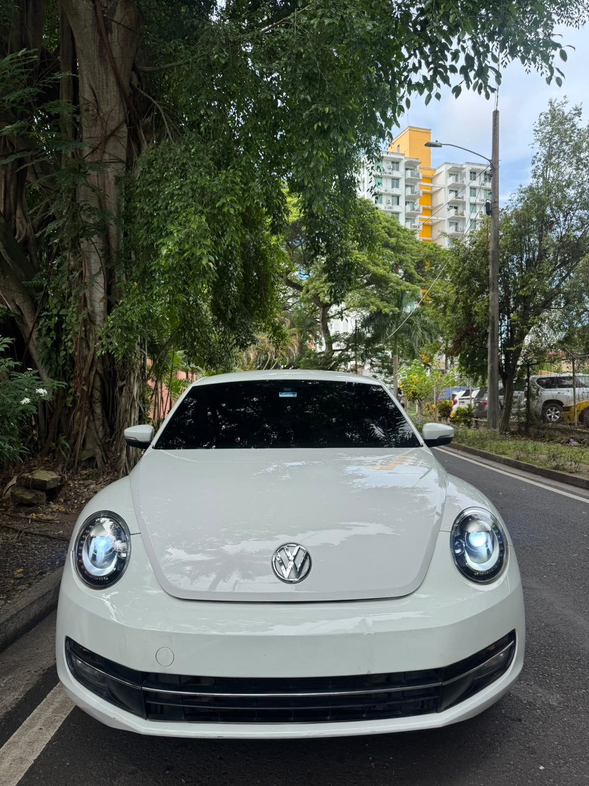 VOLSKWAGEN BEETLE 2016 - Imagen 3