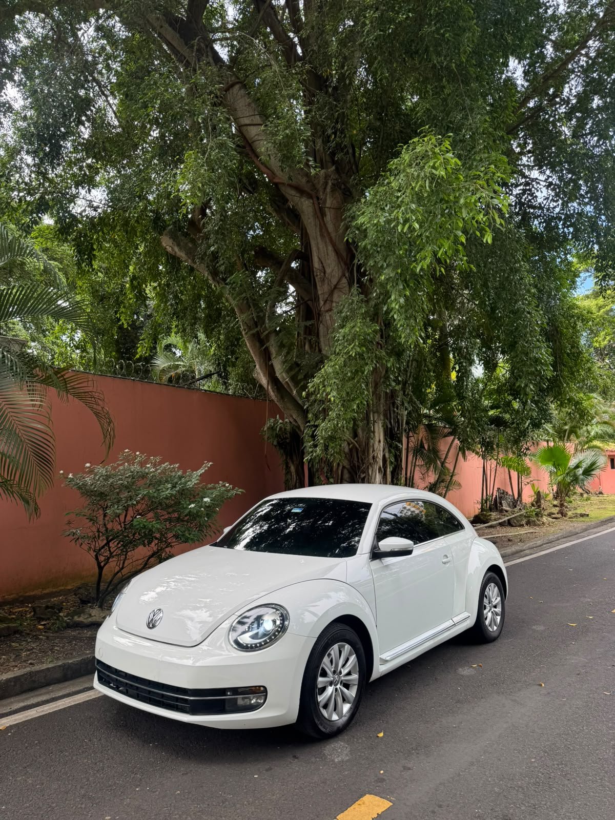 VOLSKWAGEN BEETLE 2016