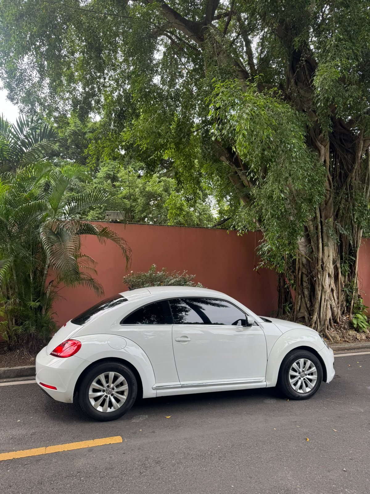VOLSKWAGEN BEETLE 2016 - Imagen 6