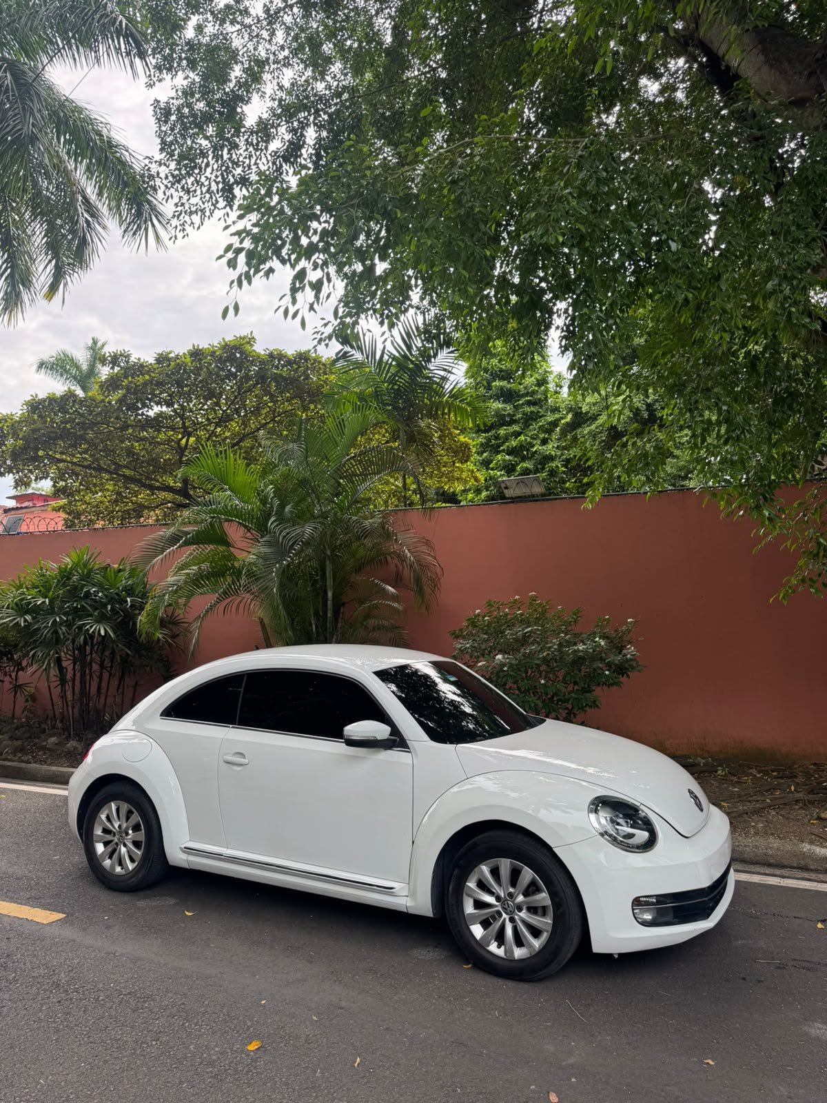 VOLSKWAGEN BEETLE 2016 - Imagen 14