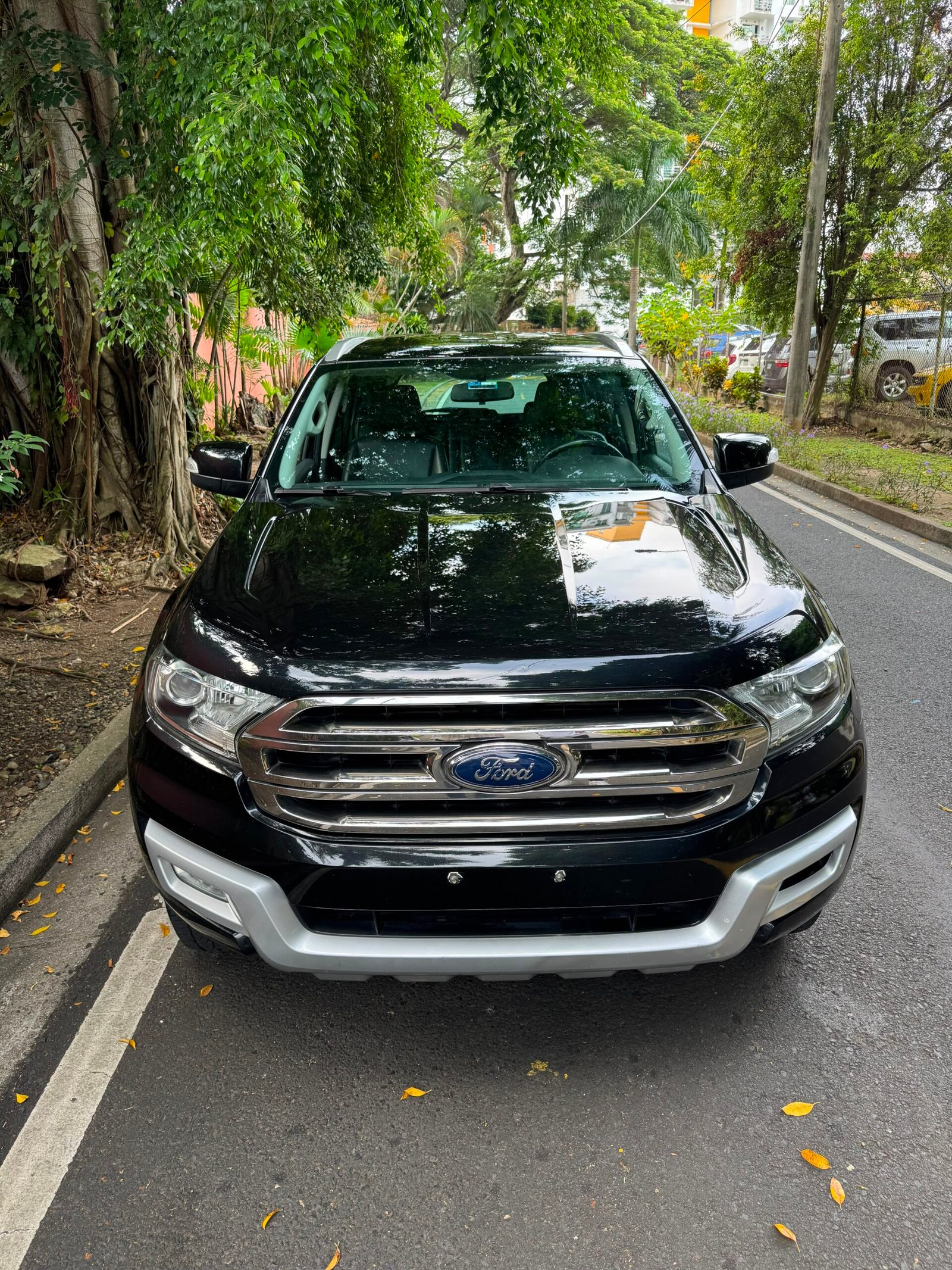 FORD EVEREST 2016 - Imagen 2