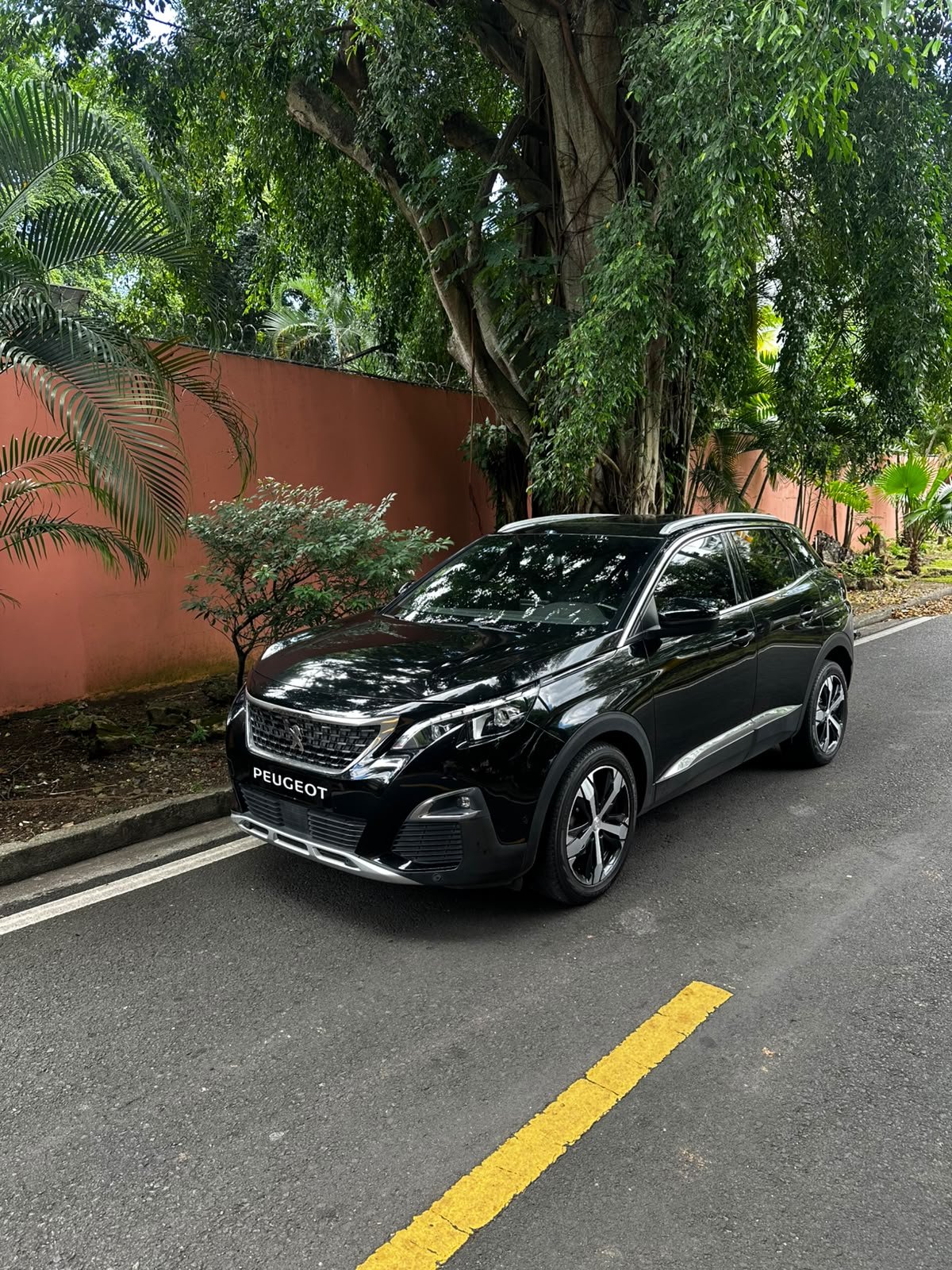 PEUGEOT 3008 2019