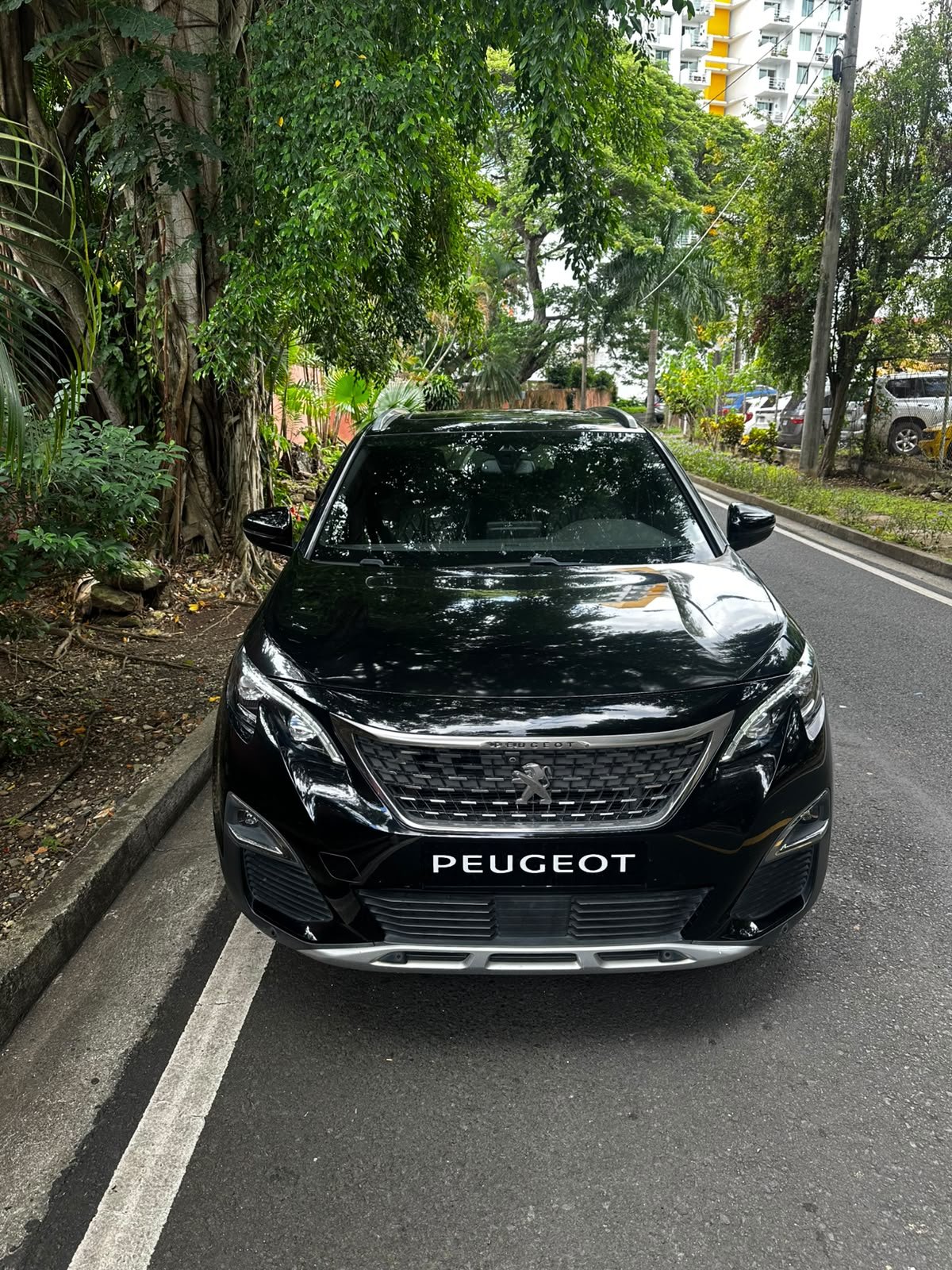 PEUGEOT 3008 2019 - Imagen 3