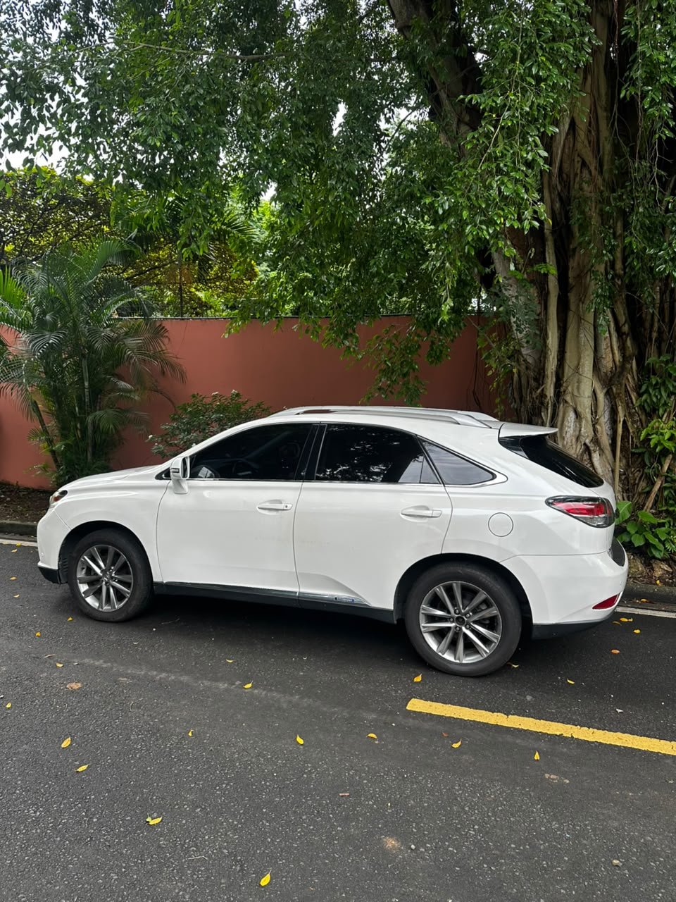 LEXUS RX450H 2015 - Imagen 2