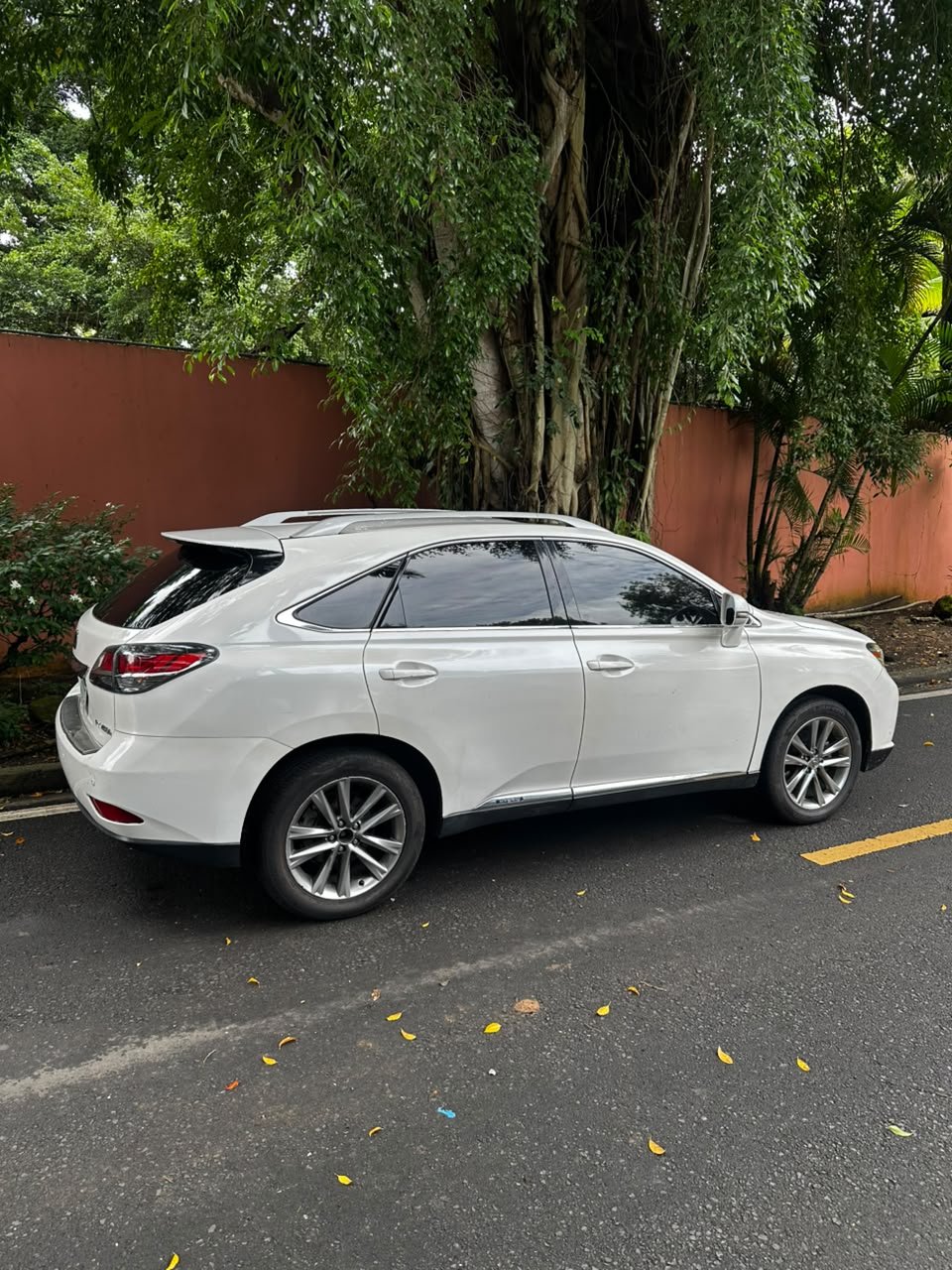 LEXUS RX450H 2015 - Imagen 15