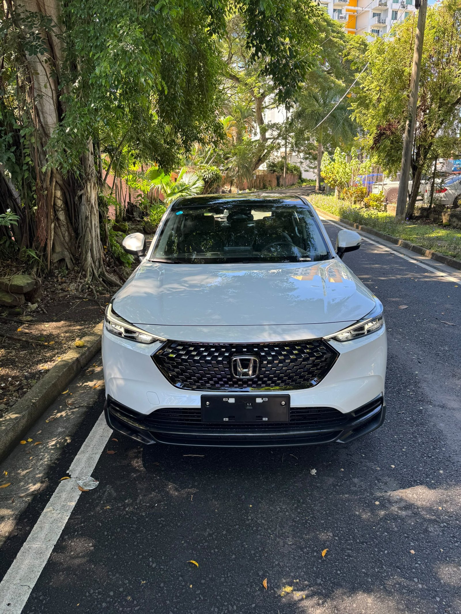 HONDA XRV 2025 - Imagen 2