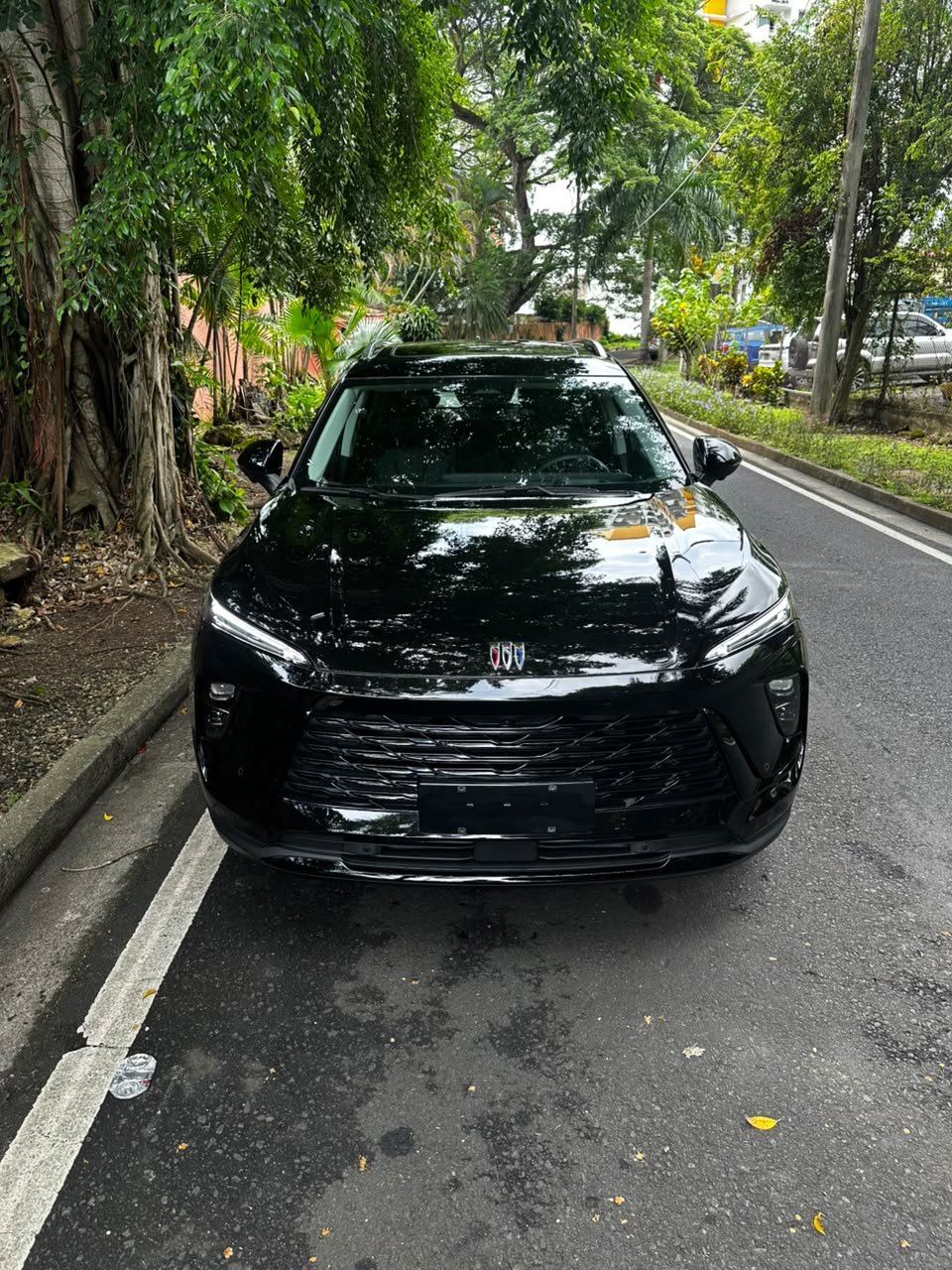 BUICK ENVISION PLUS - Imagen 2