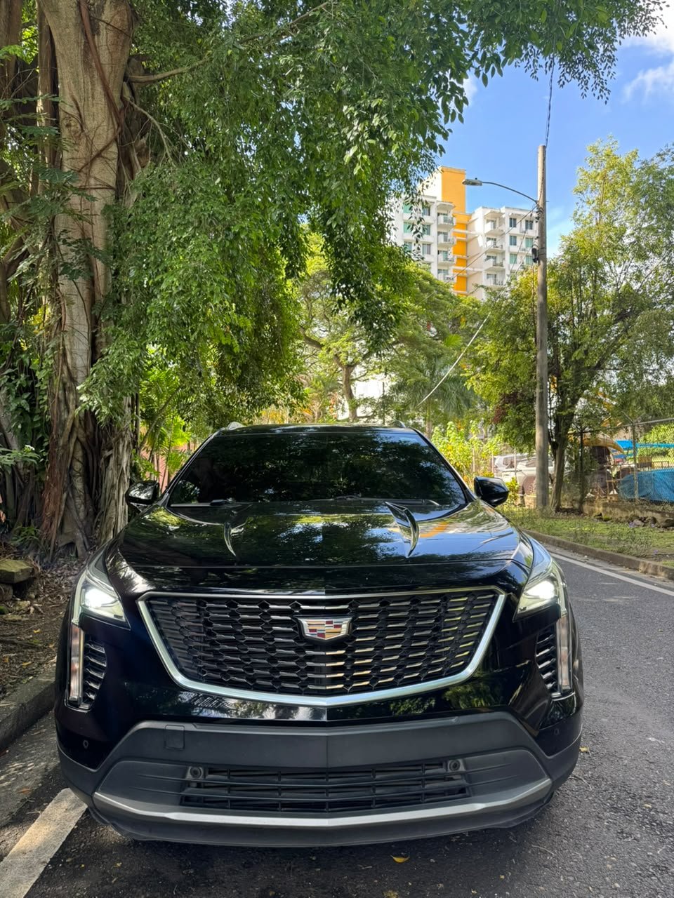 CADILLAC XT4 350T 2020 - Imagen 20