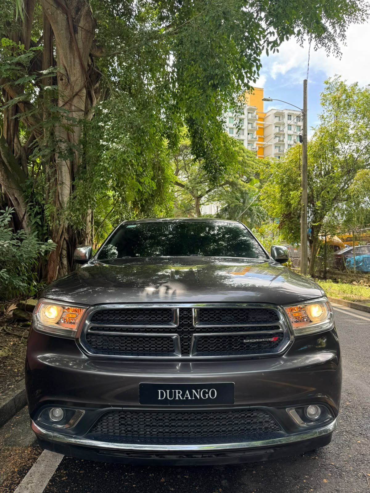 DODGE DURANGO 2019 - Imagen 3